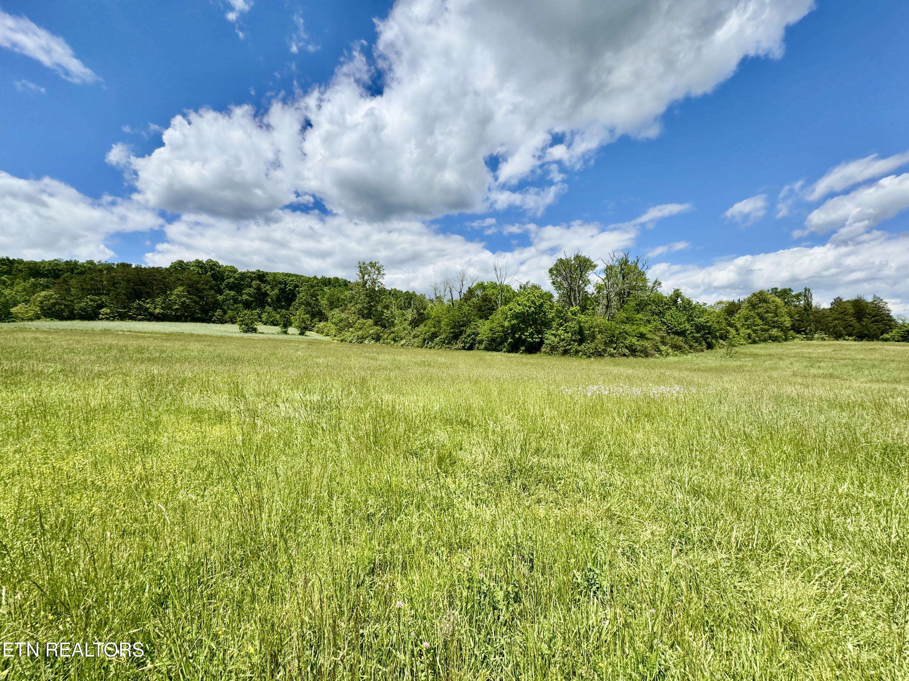Heiskell, TN 37754,Raccoon Valley DR