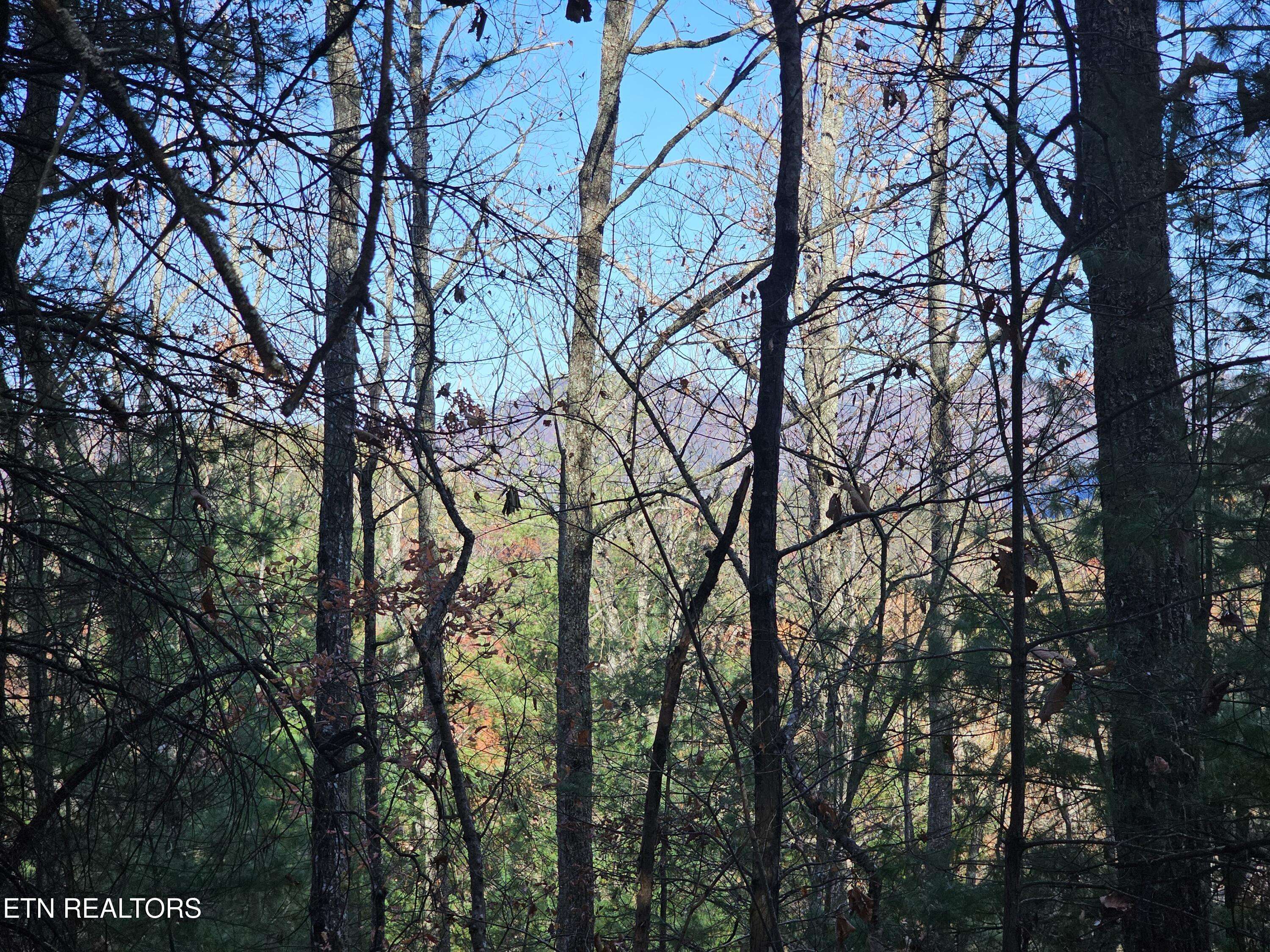 Townsend, TN 37882,120 Greystone WAY