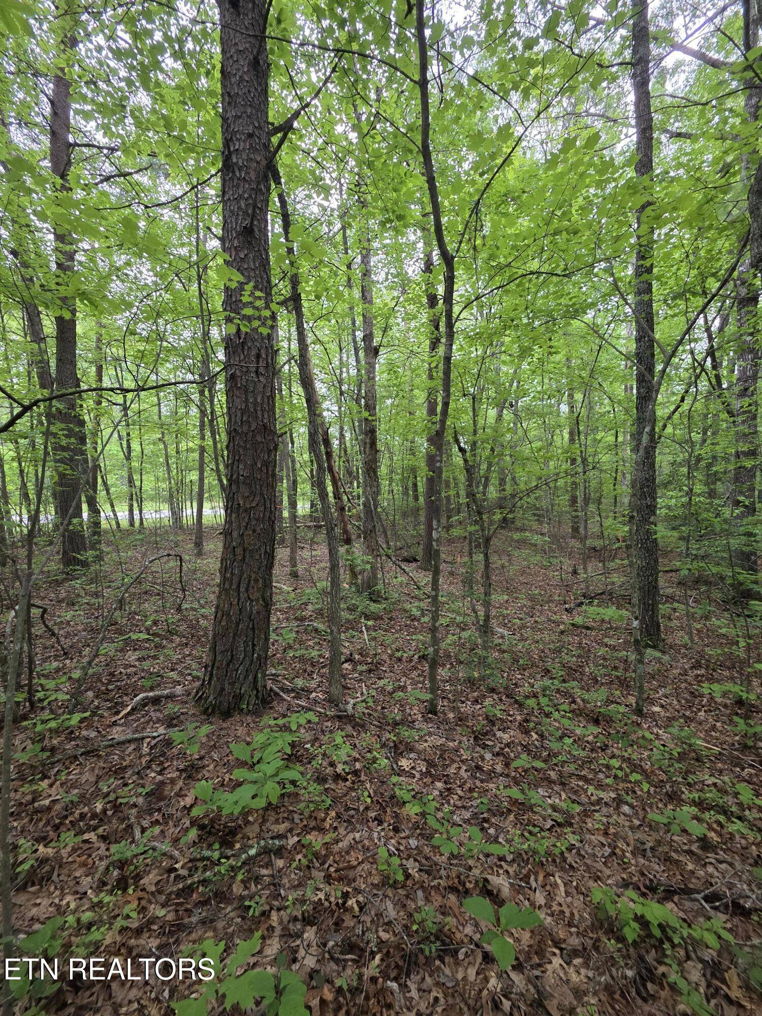 Monterey, TN 38574,4 Cumberland Lakes DR
