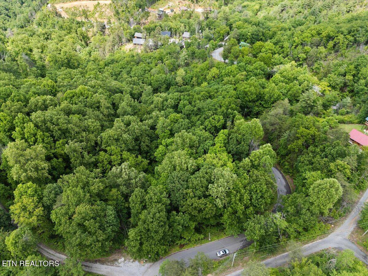 Sevierville, TN 37862,Spurling WAY