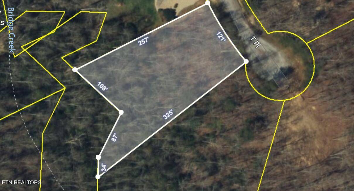 Monterey, TN 38574,Lot 9 T PL