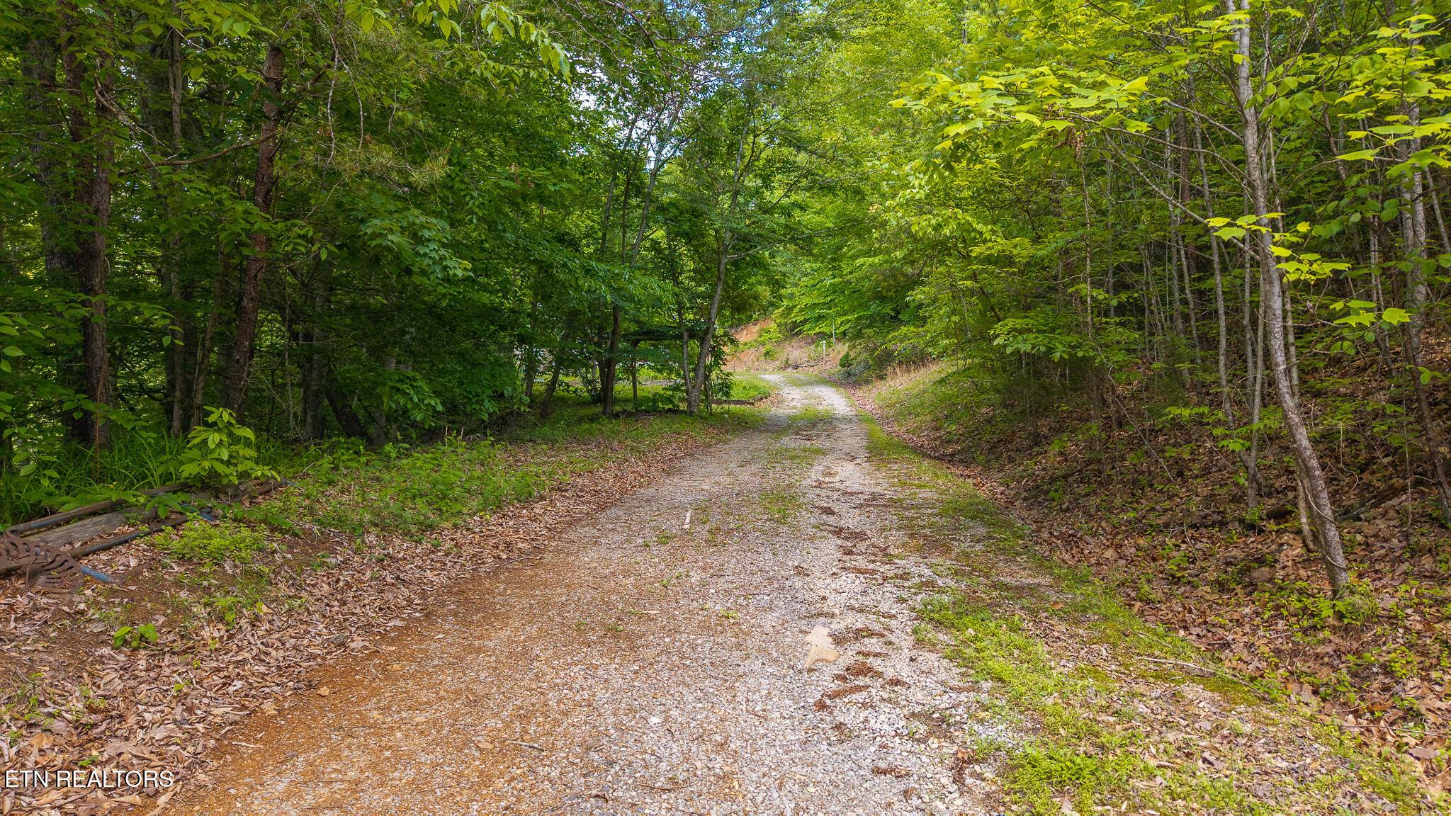 Sneedville, TN 37869,632 Jacobs Hollow Rd