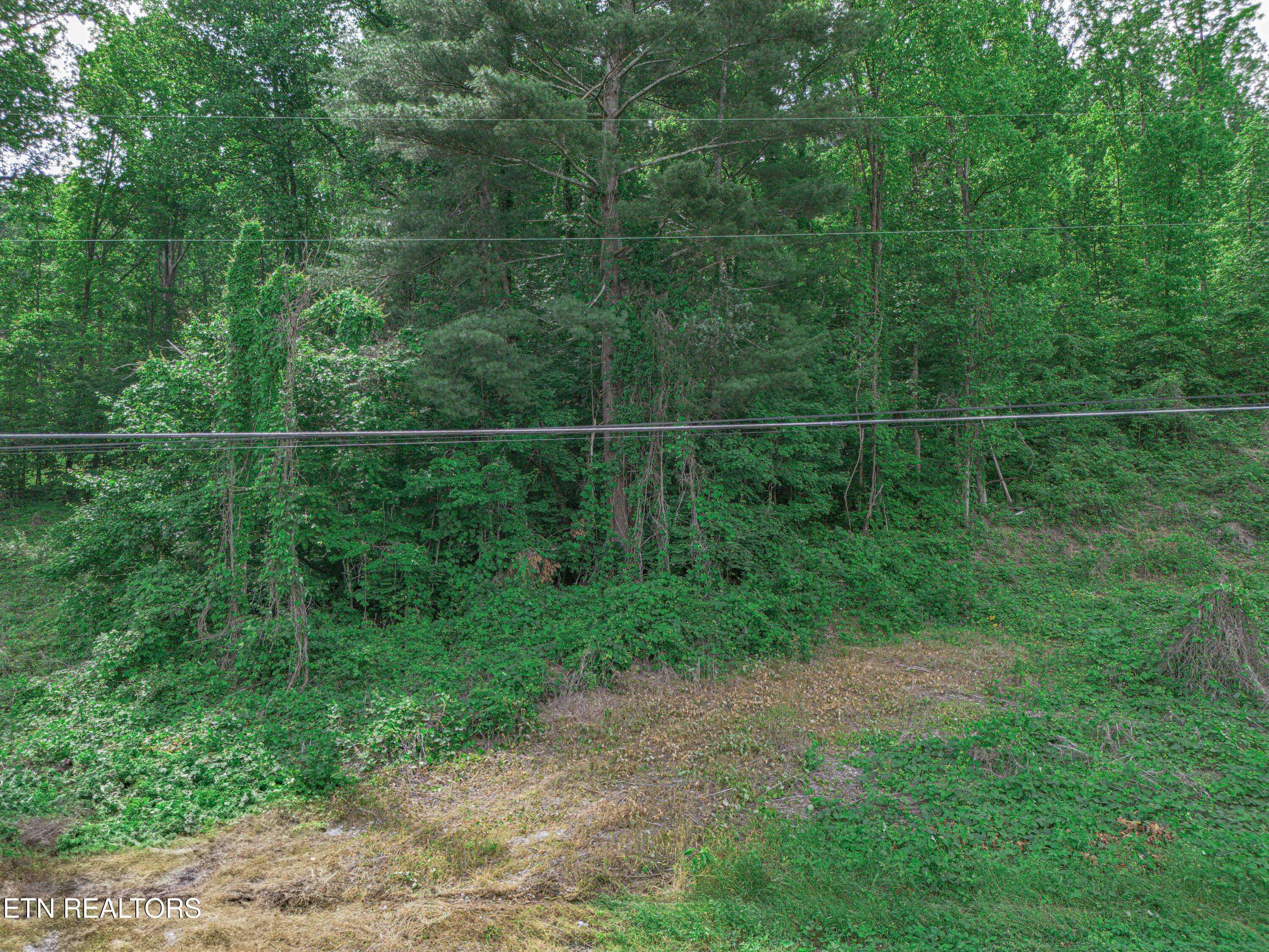 Oliver Springs, TN 37840,523 Mahoney Rd