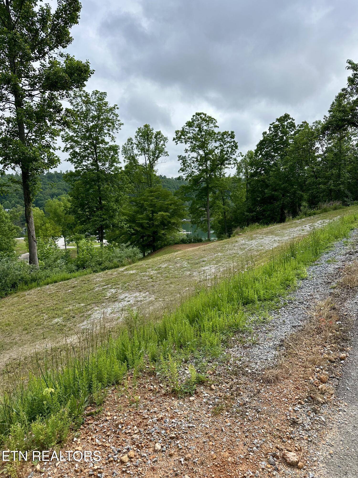 Lafollette, TN 37766,211 & 212 Suncrest CV