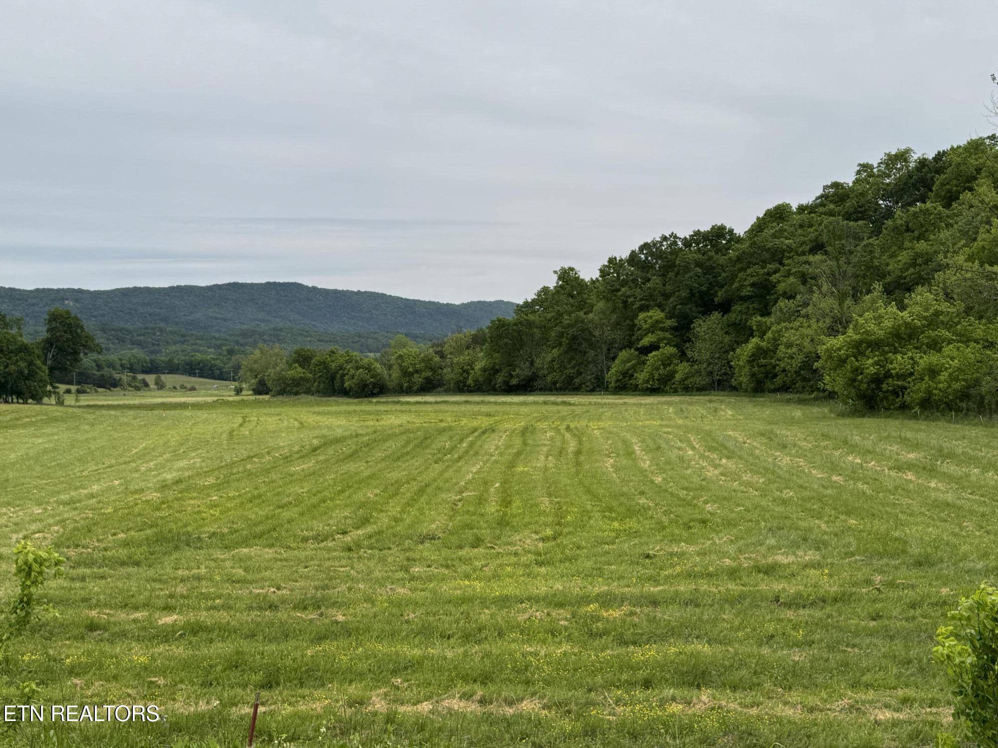 Blaine, TN 37709,Rutledge PIKE