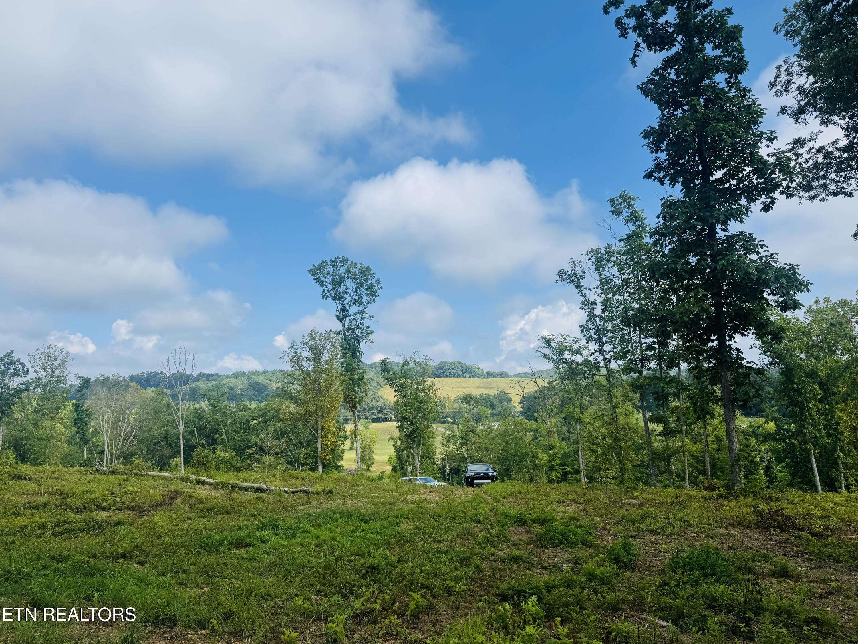 Andersonville, TN 37705,Tract 2 Mill Creek Rd