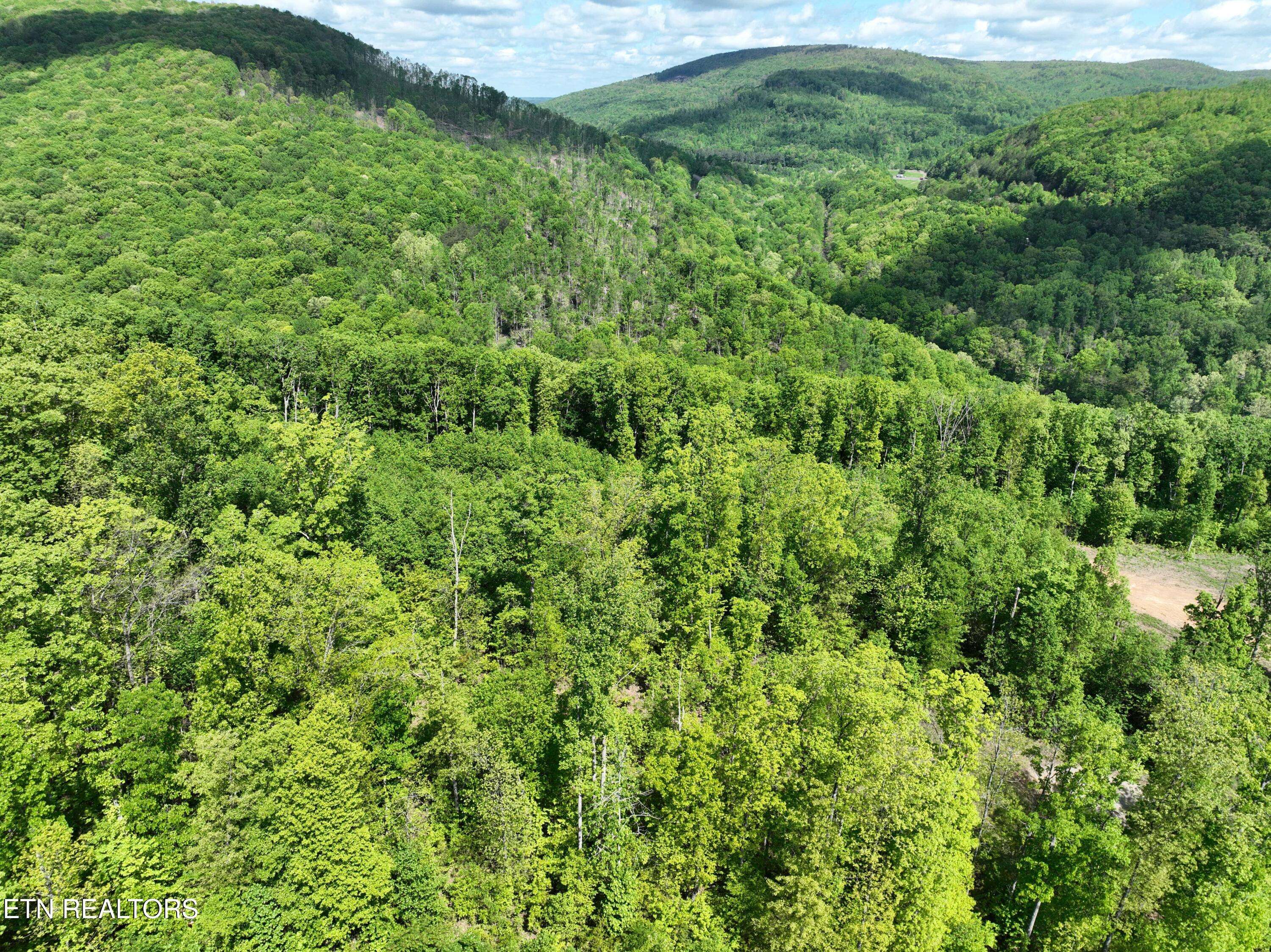 Crab Orchard, TN 37723,Lot 7 Lower Eagles Nest Rd