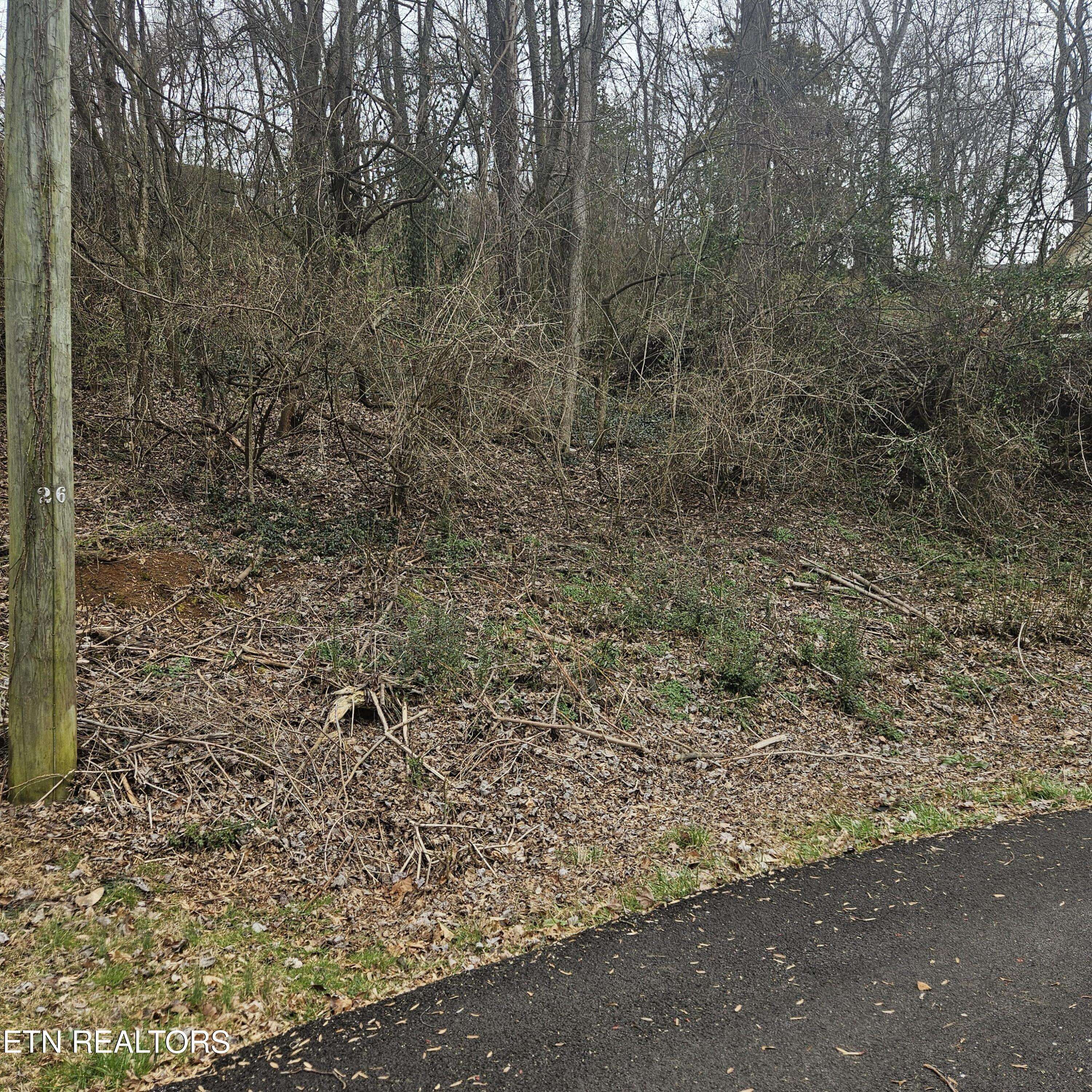 Seymour, TN 37865,Cherokee Tr