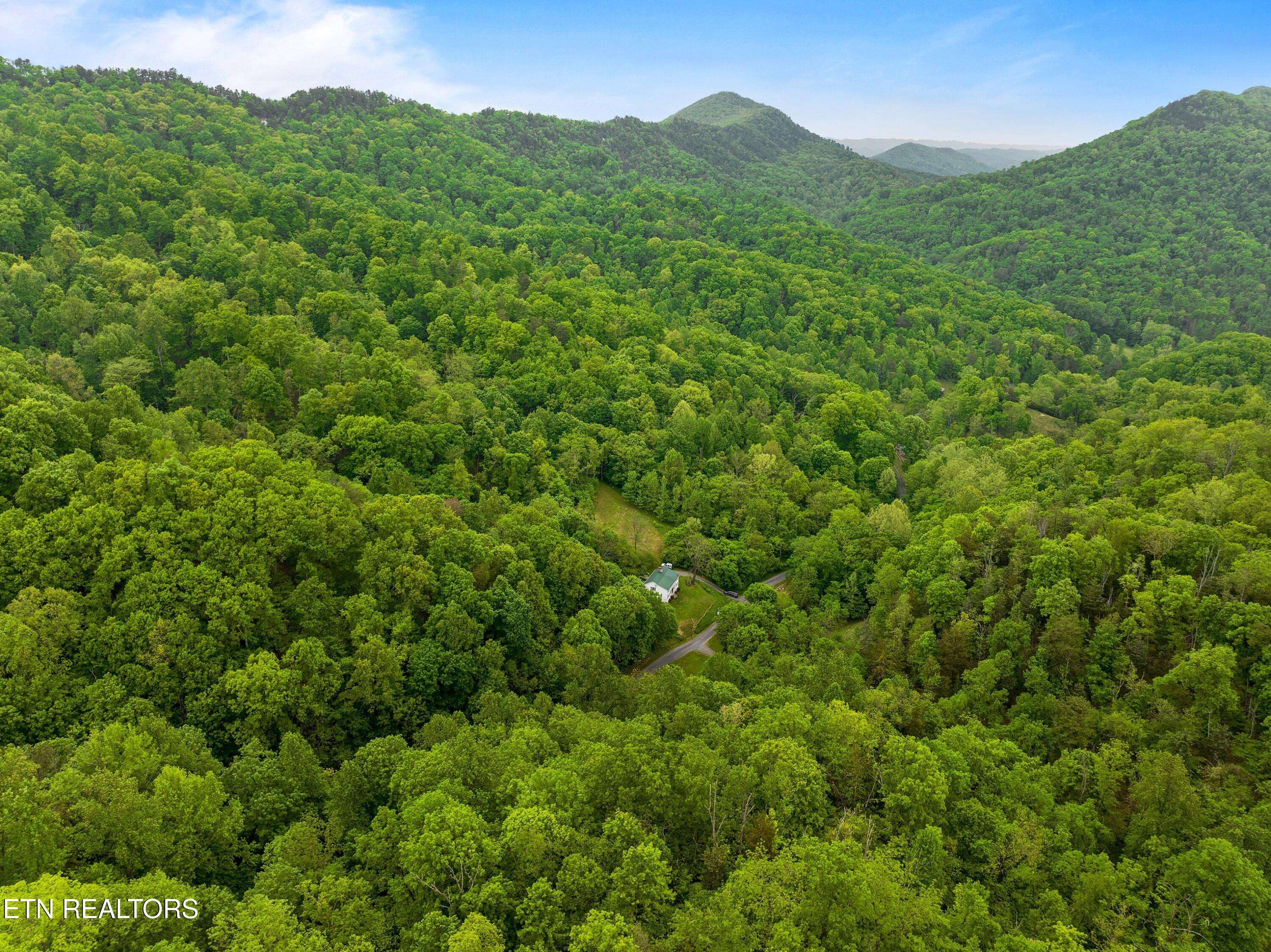 Rogersville, TN 37857,Tract 5 Sandy Valley Rd