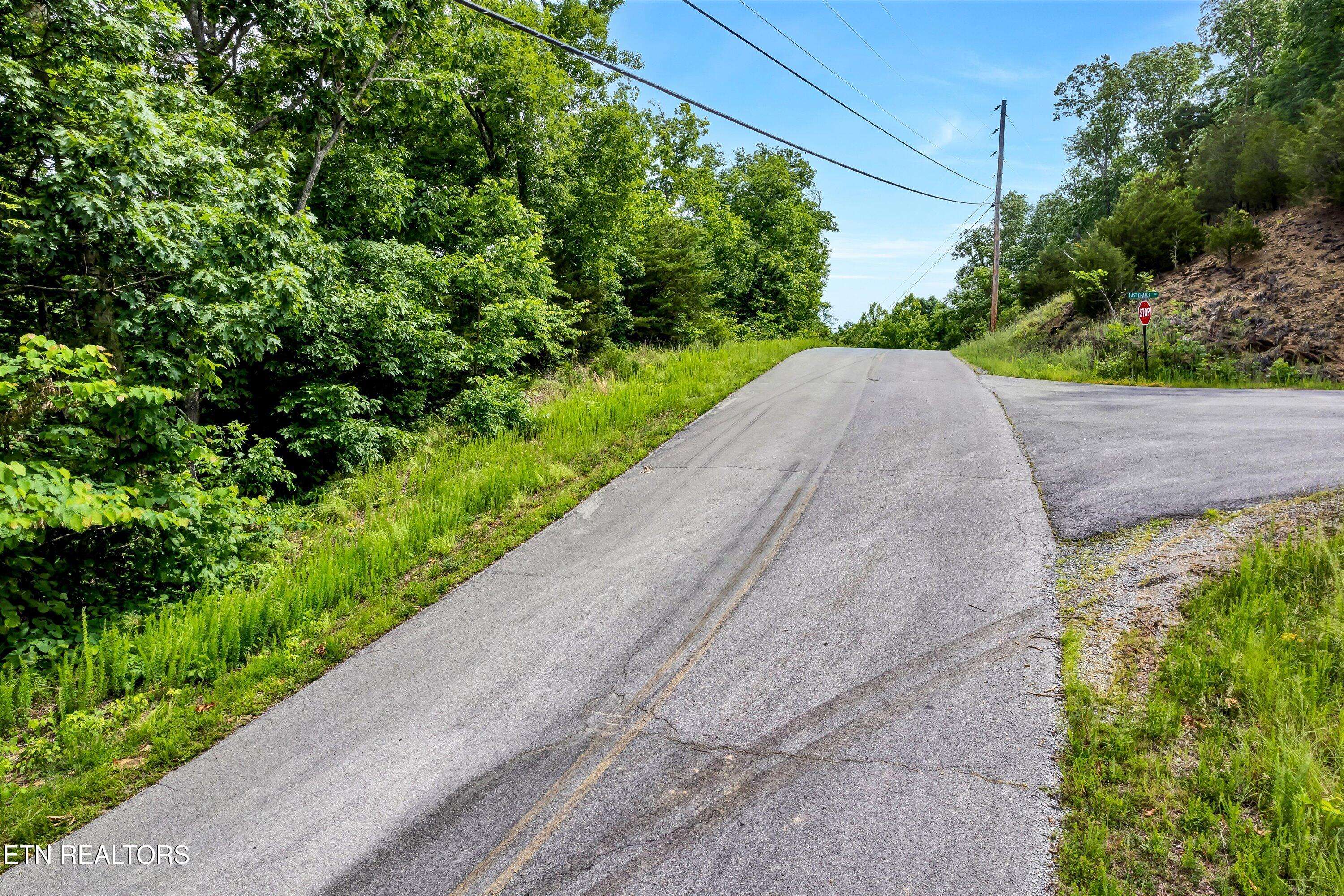 Dandridge, TN 37725,Lot 111 Tranquility Tr