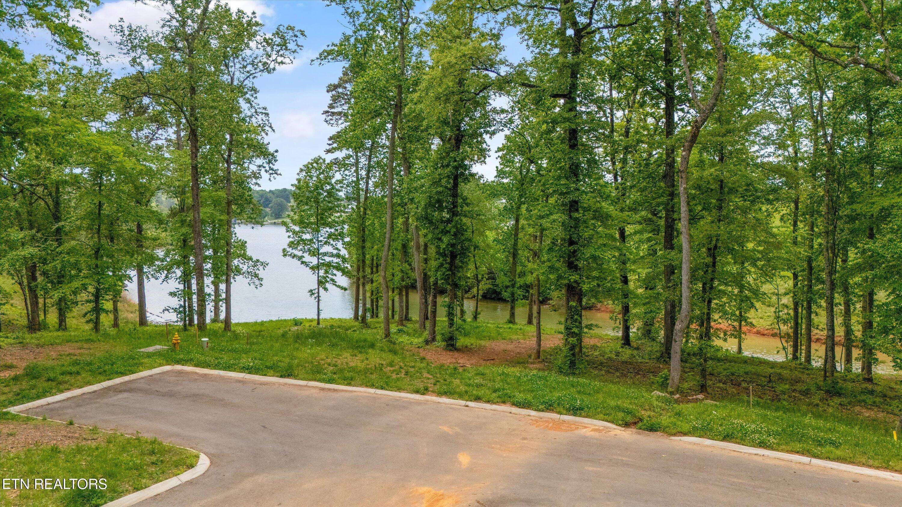 Knoxville, TN 37922,Lot 246R Arcadia Peninsula WAY