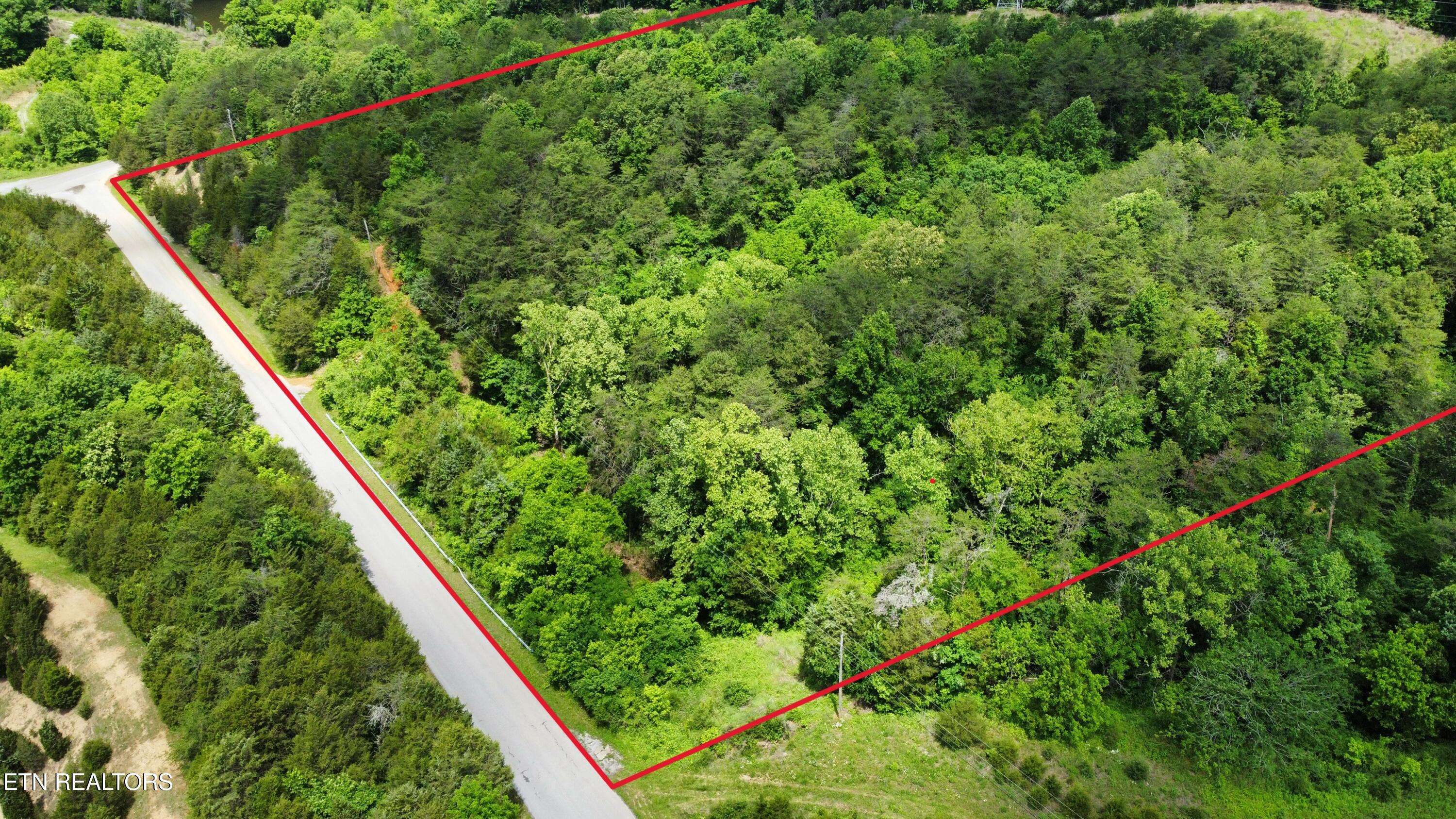 Strawberry Plains, TN 37871,21 acres Smith School Rd