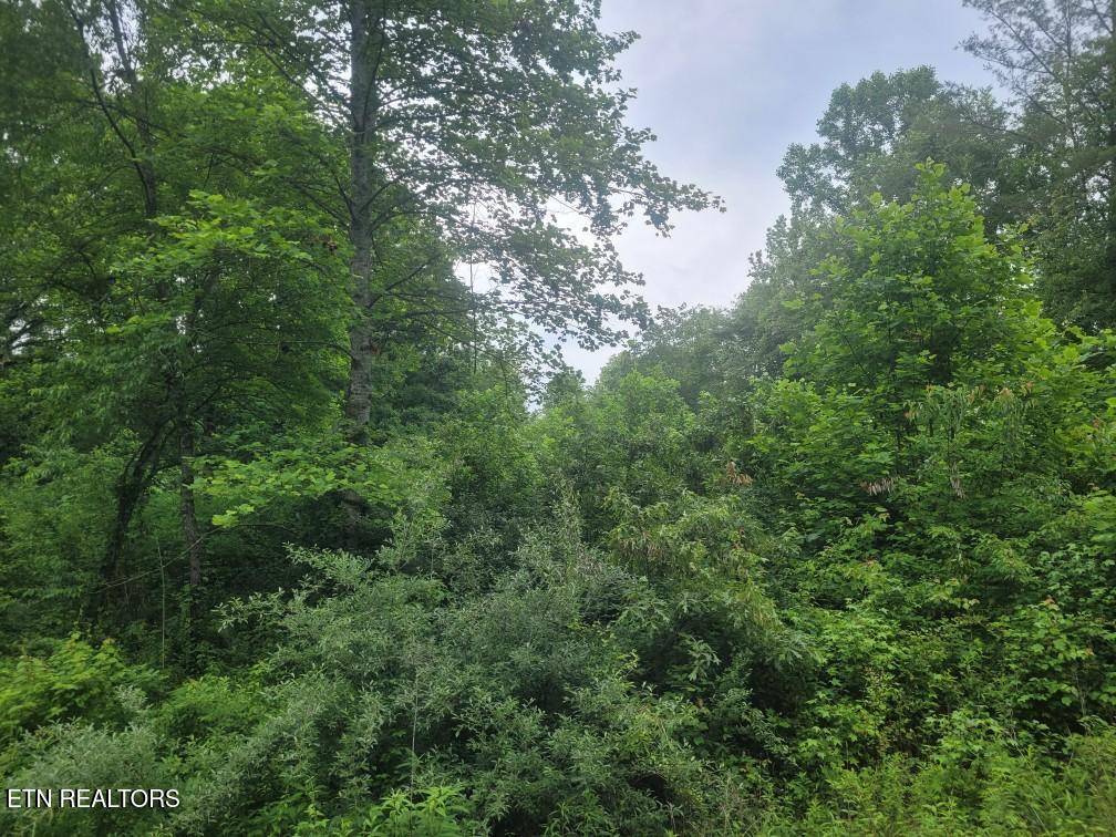Wartburg, TN 37887,Lot 2R2 Mill Rd