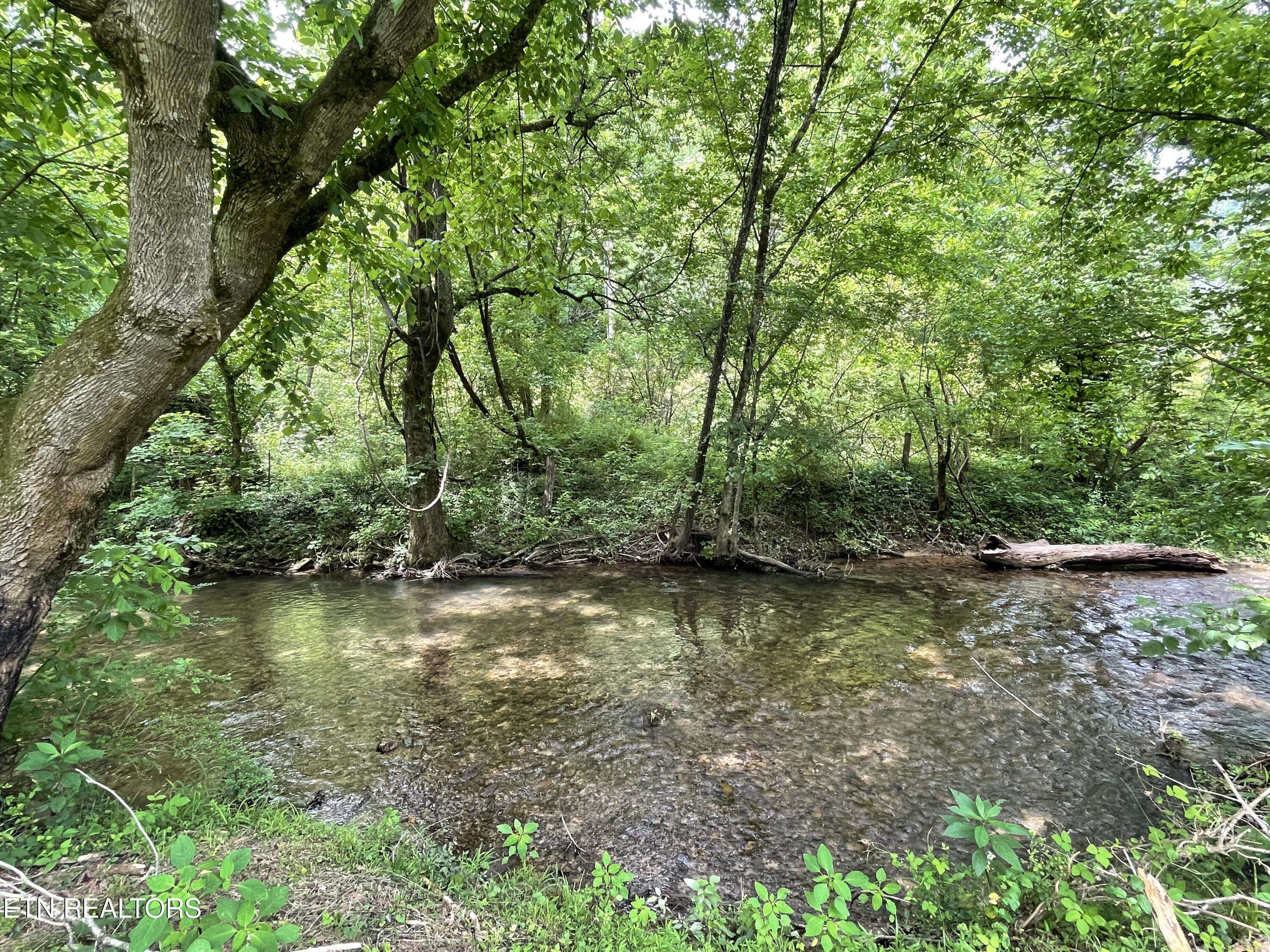 Walland, TN 37886,5422 Cricket Lane