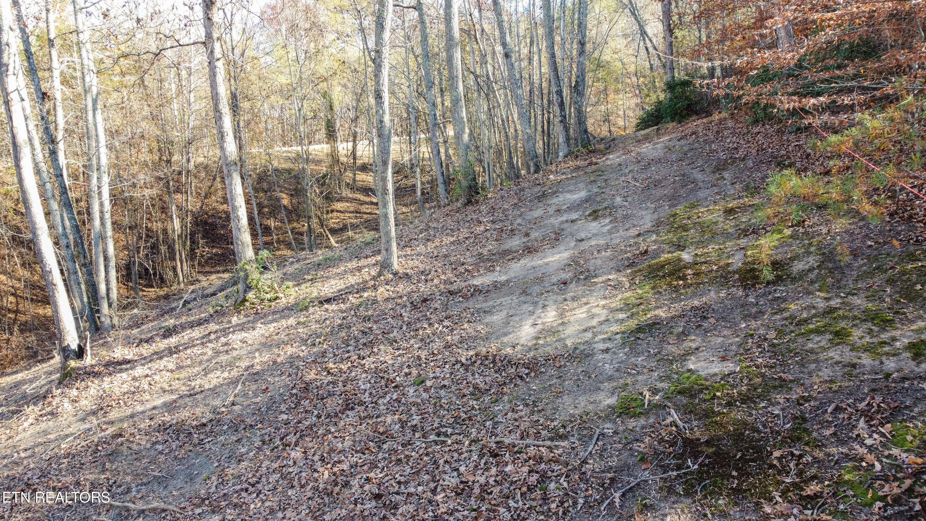 Rockwood, TN 37854,Lot 75 Turkey Ridge Rd
