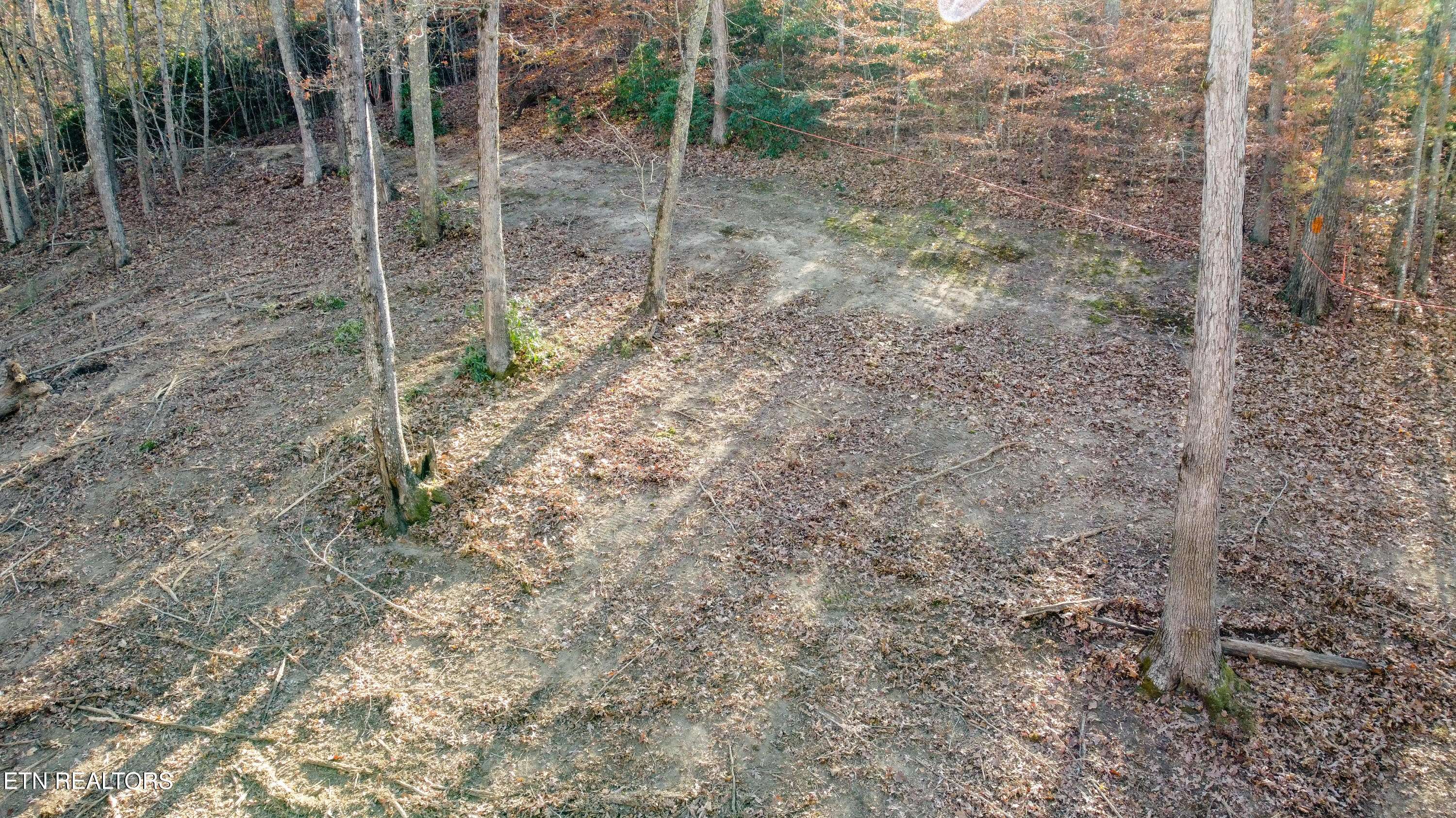 Rockwood, TN 37854,Lot 75 Turkey Ridge Rd