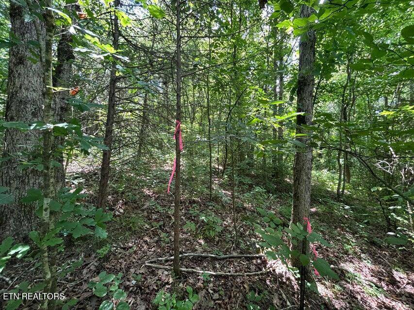 Etowah, TN 37331,Tract 4 County Road 783