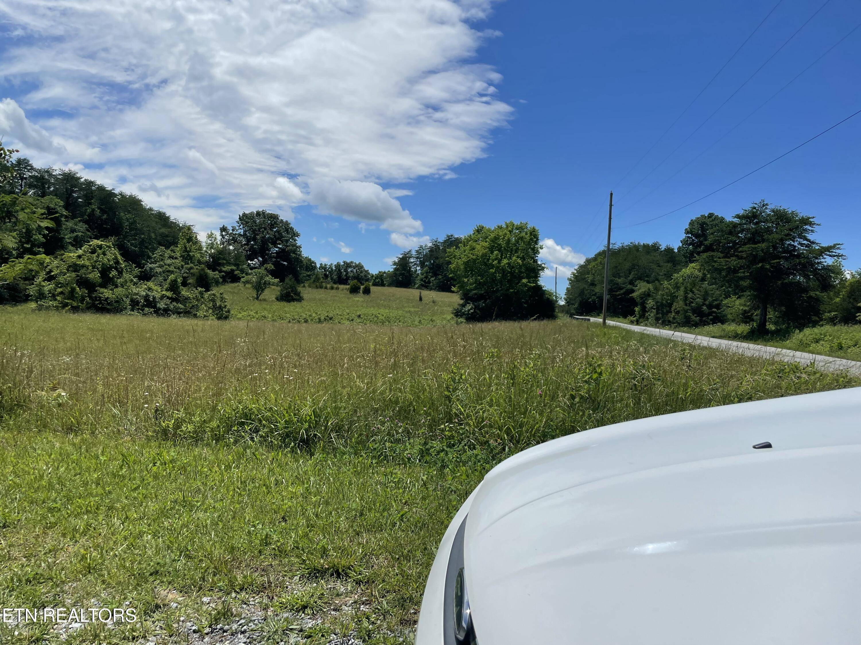 Mohawk, TN 37810,915 PORTER KITE Rd