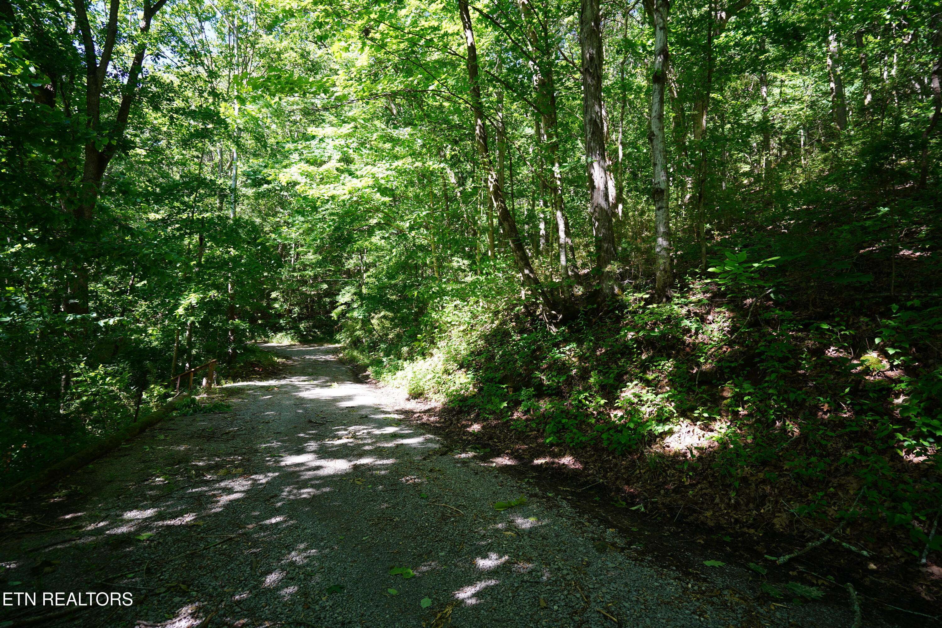 Smithville, TN 37166,Love Colony Rd