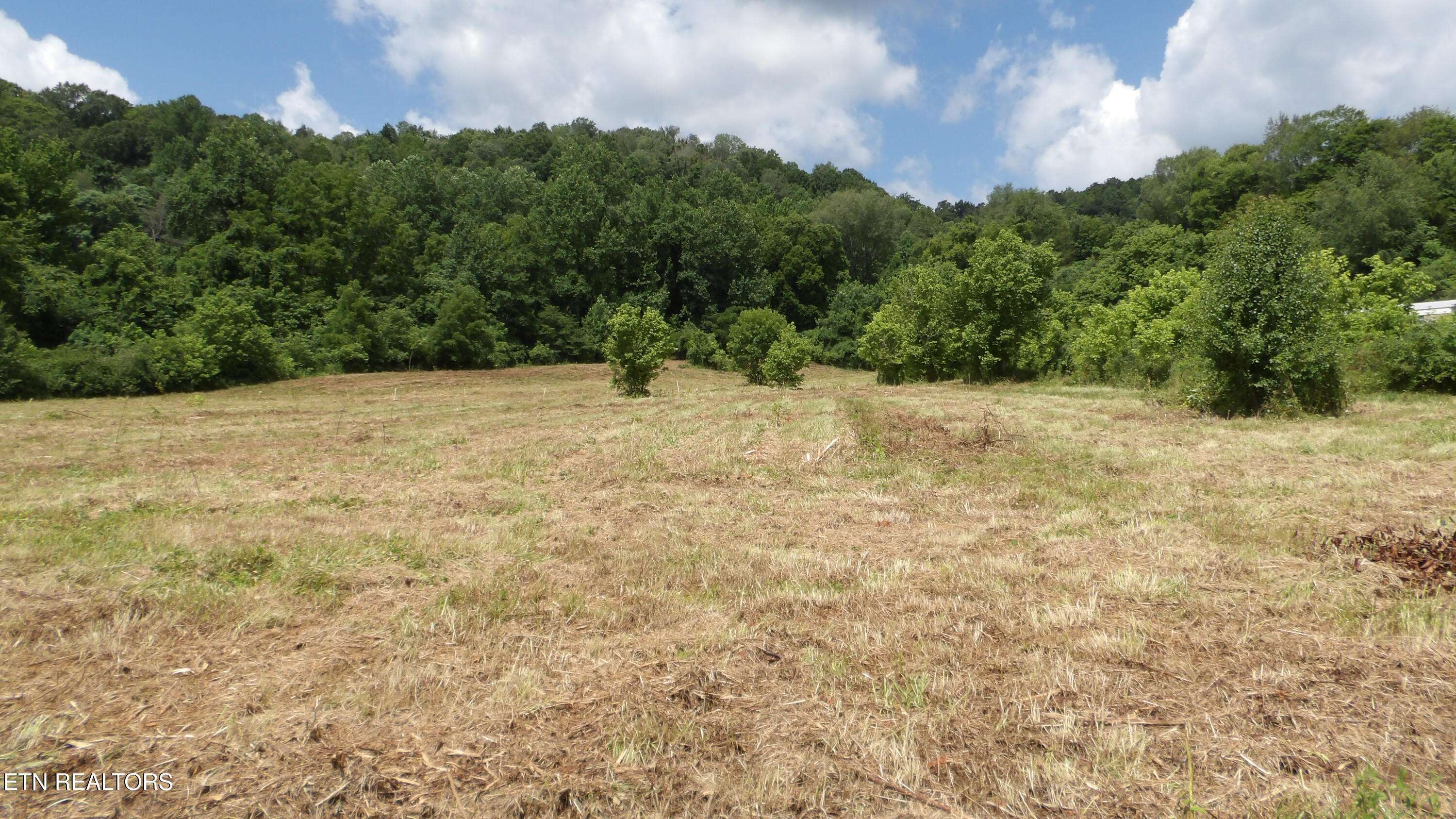 Celina, TN 38551,5.6 ac Lonnie Reecer Rd