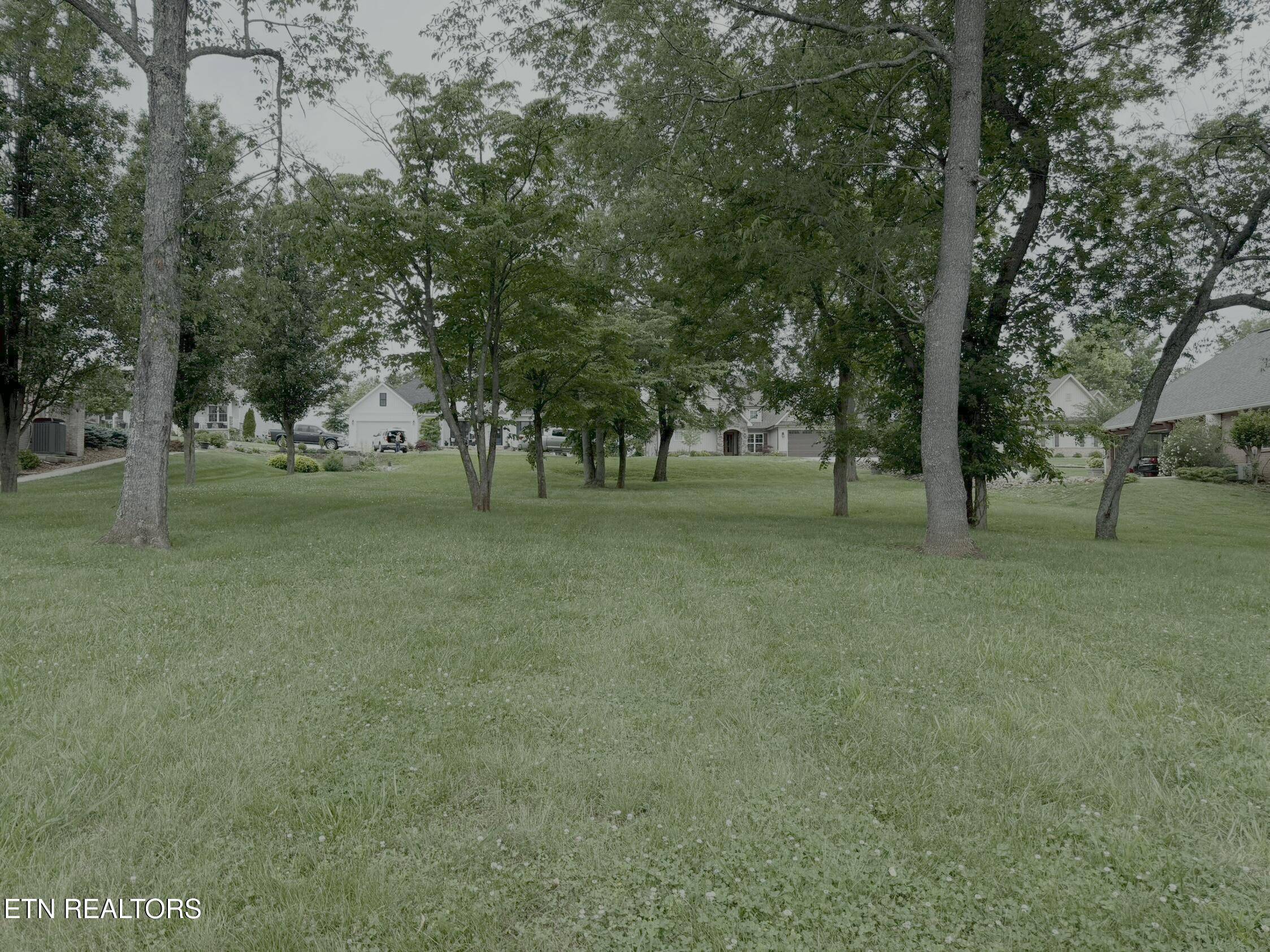 Vonore, TN 37885,113 Nunnehi Tr.