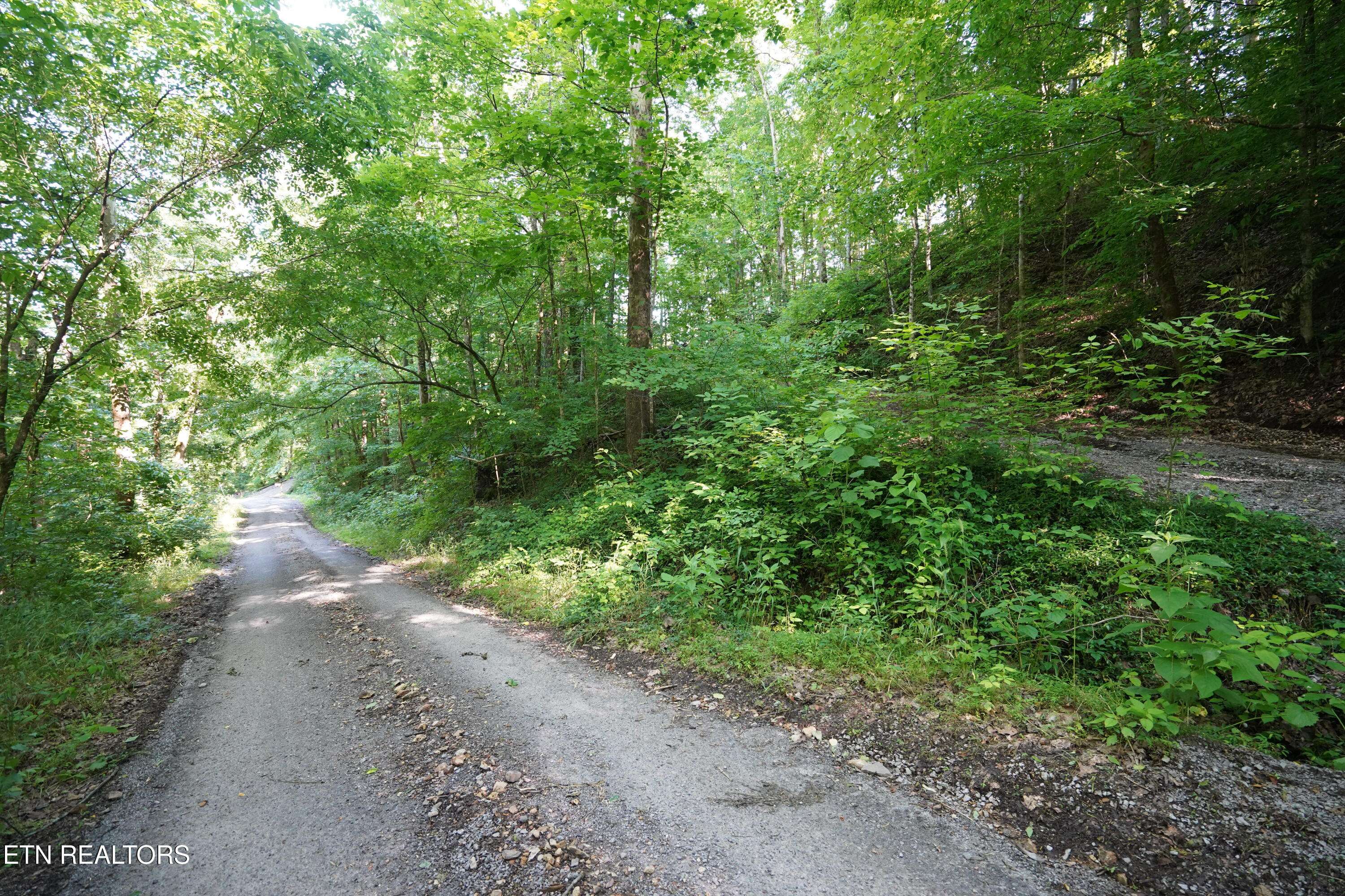 Smithville, TN 37166,Holiday Haven Rd