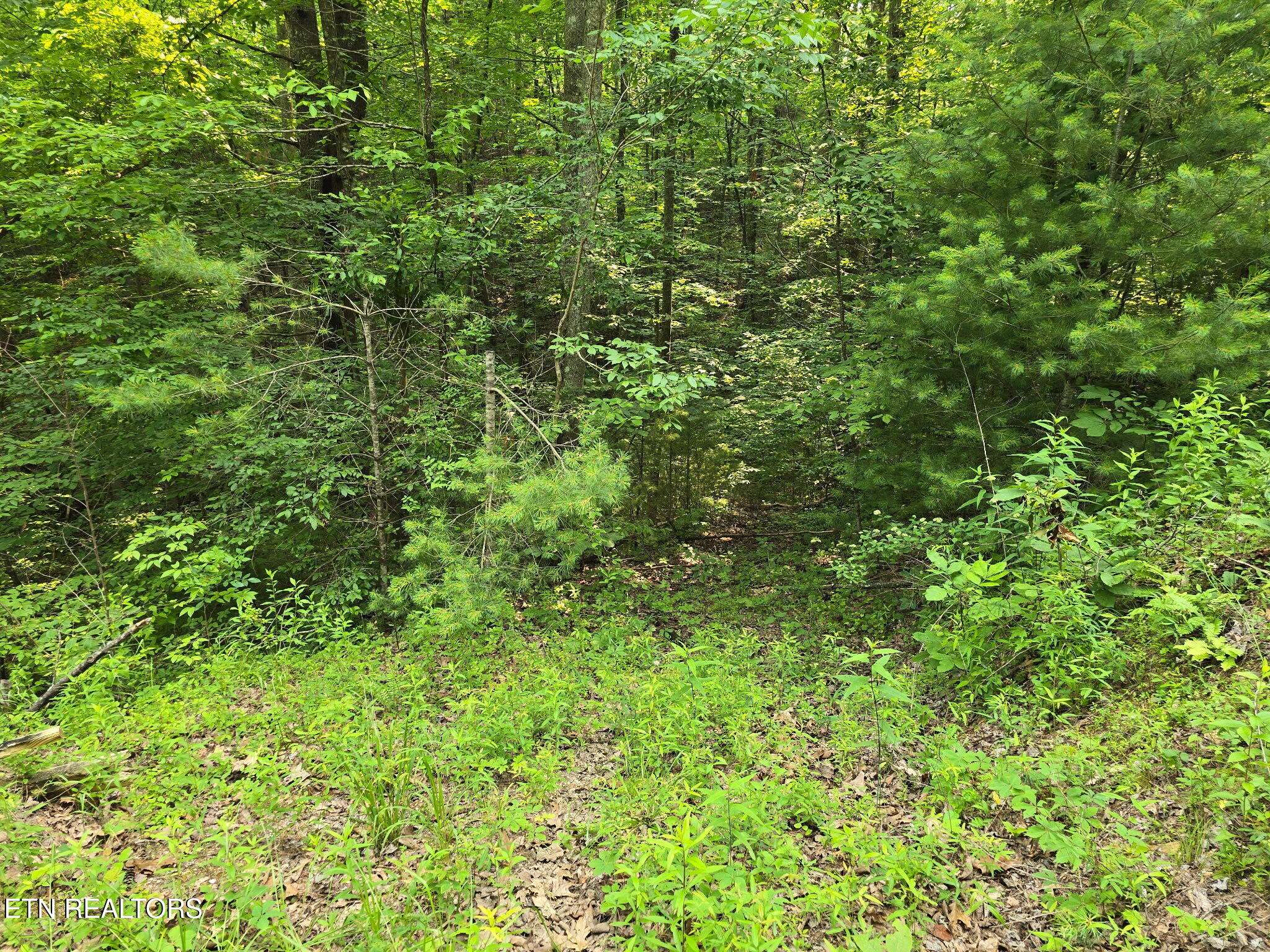 Reliance, TN 37369,Towee Mountain DR
