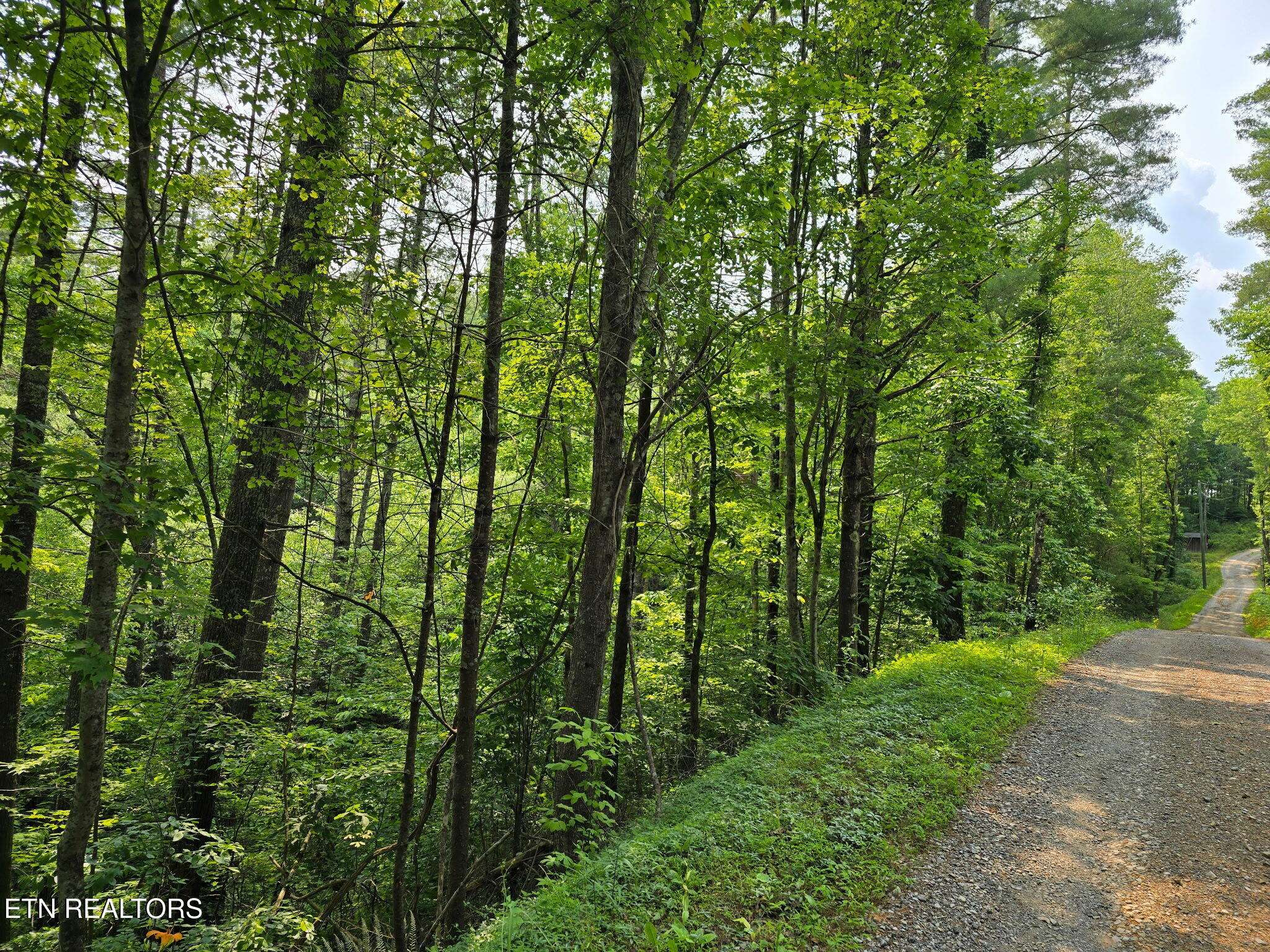 Reliance, TN 37369,Towee Mountain DR