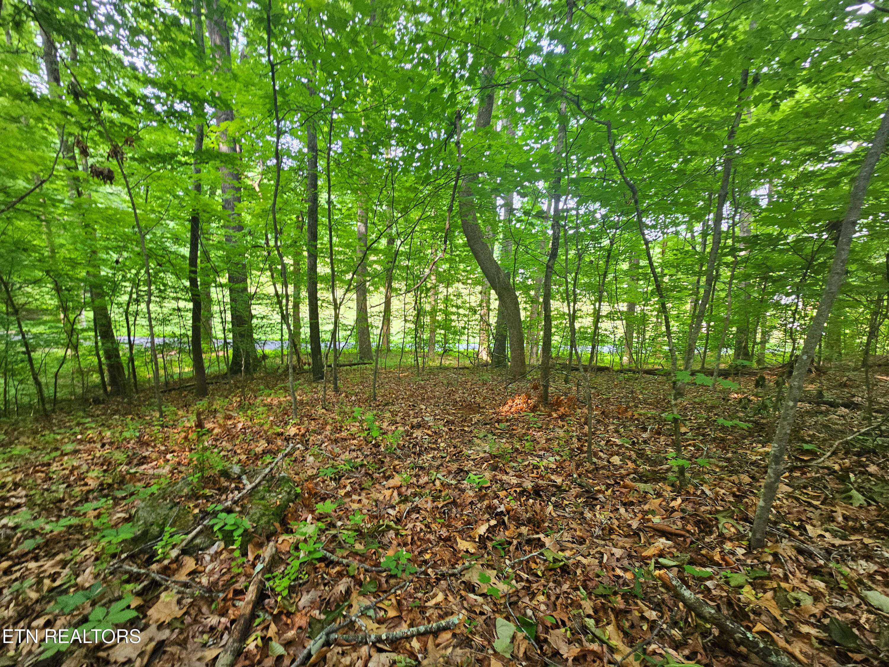 Powell, TN 37849,Cruze Rd