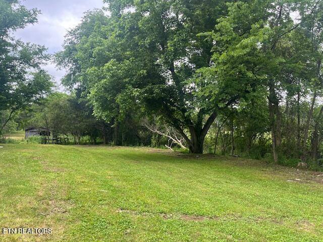 Spring City, TN 37381,209 John Long Rd