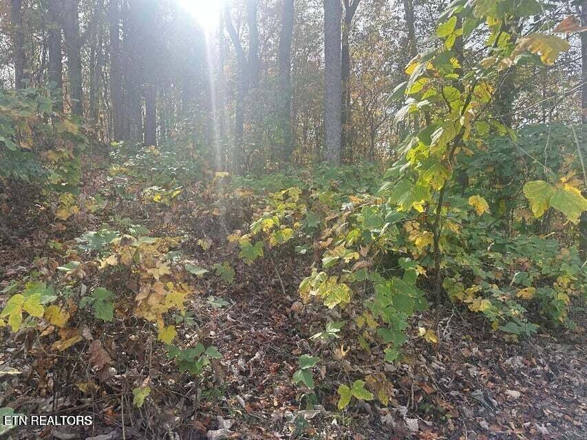 Rocky Top, TN 37769,Lot 28 Della LN
