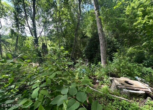 Rose Hill, VA 24281,Gobble DR