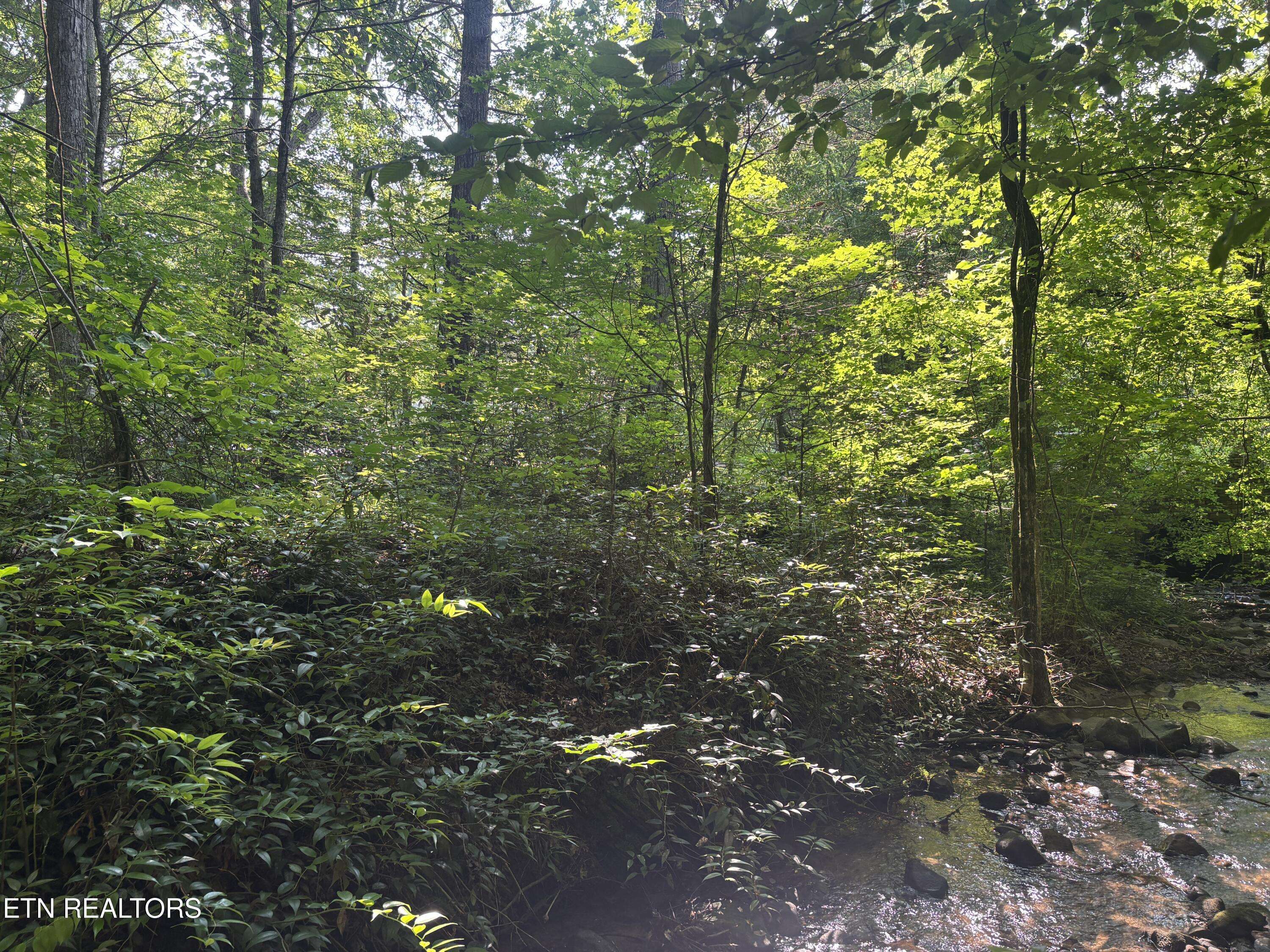 Sevierville, TN 37876,Smoky Cove Rd