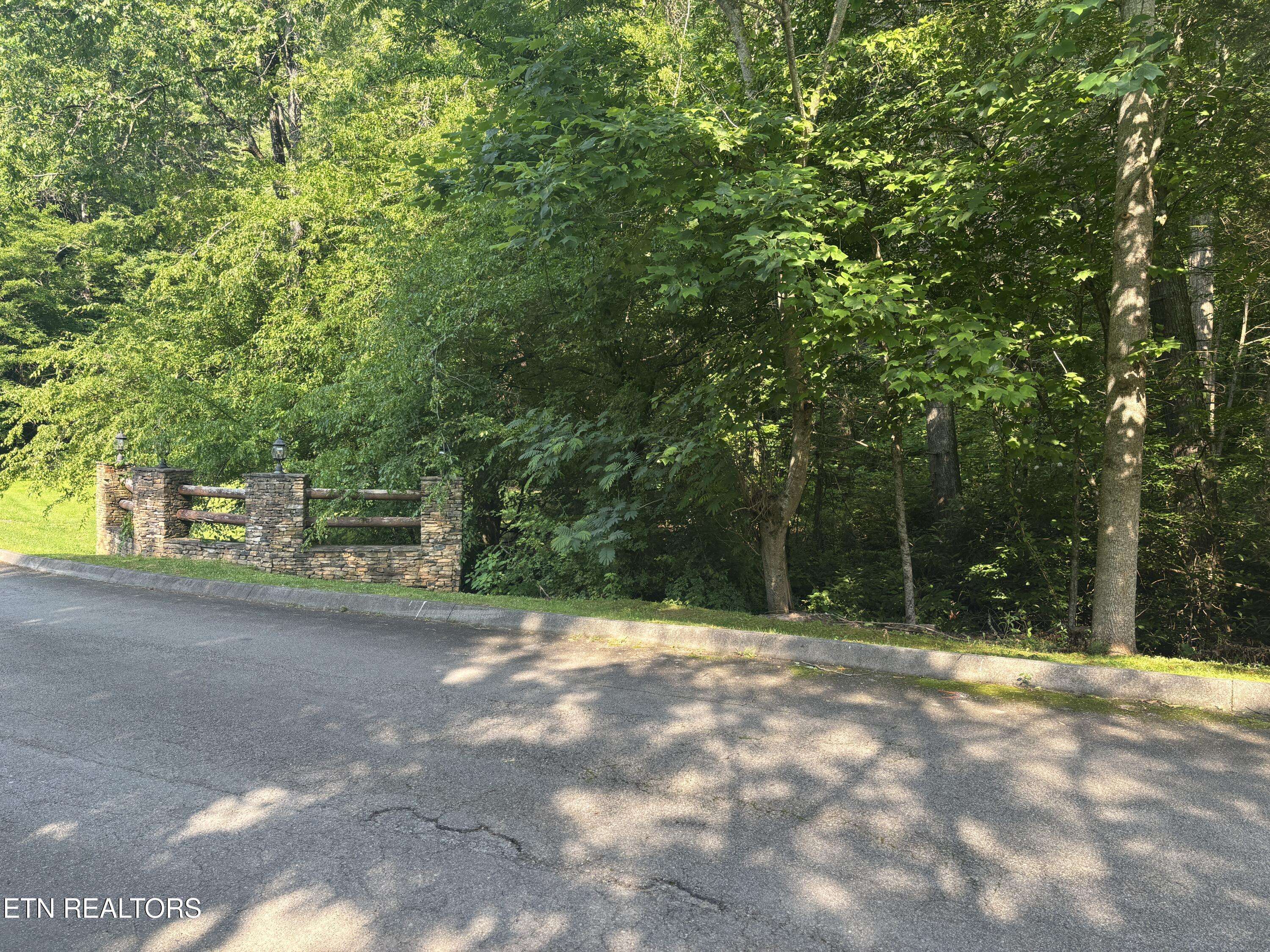 Sevierville, TN 37876,Smoky Cove Rd