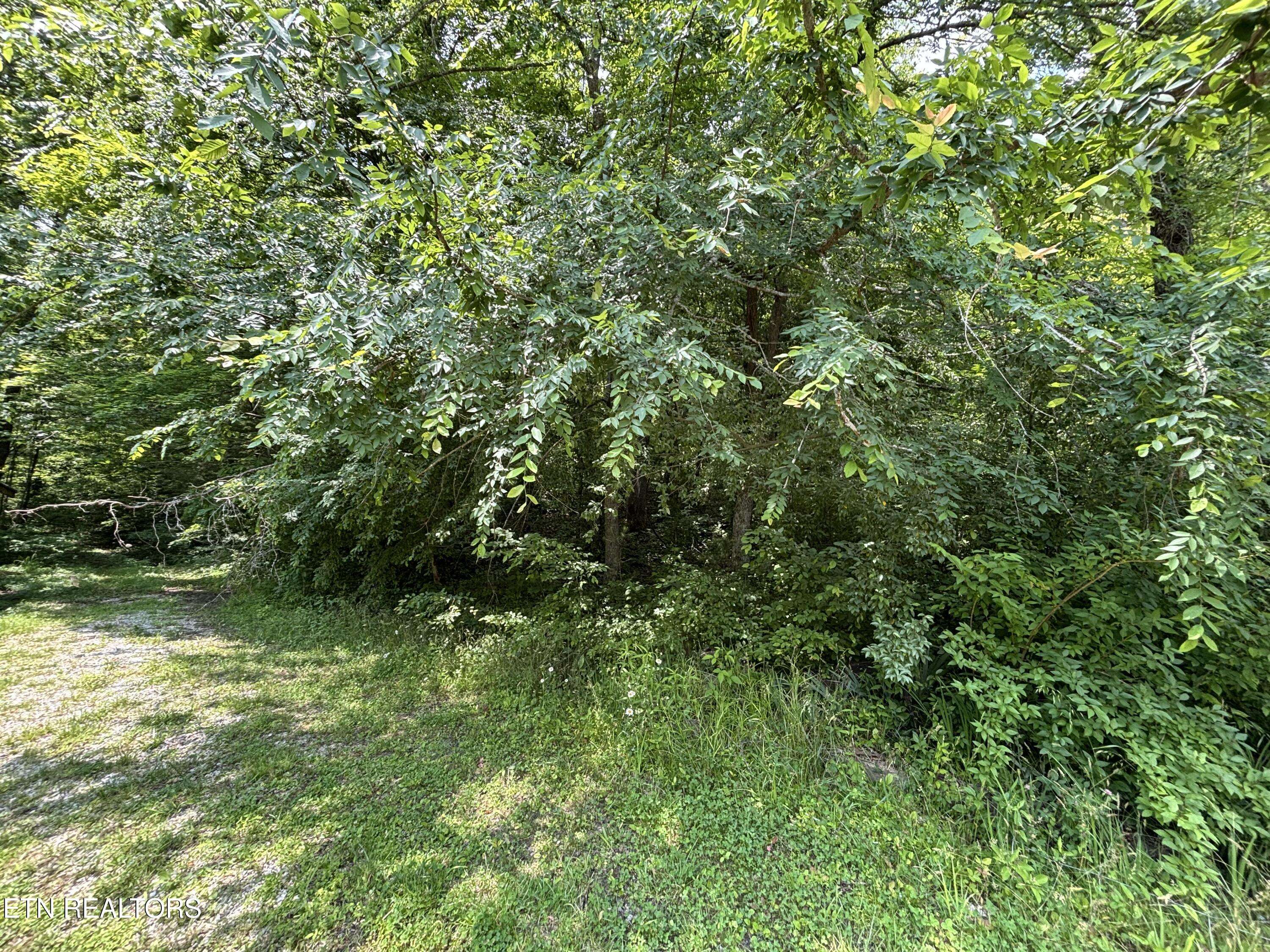 Huntsville, TN 37756,William Newport Rd