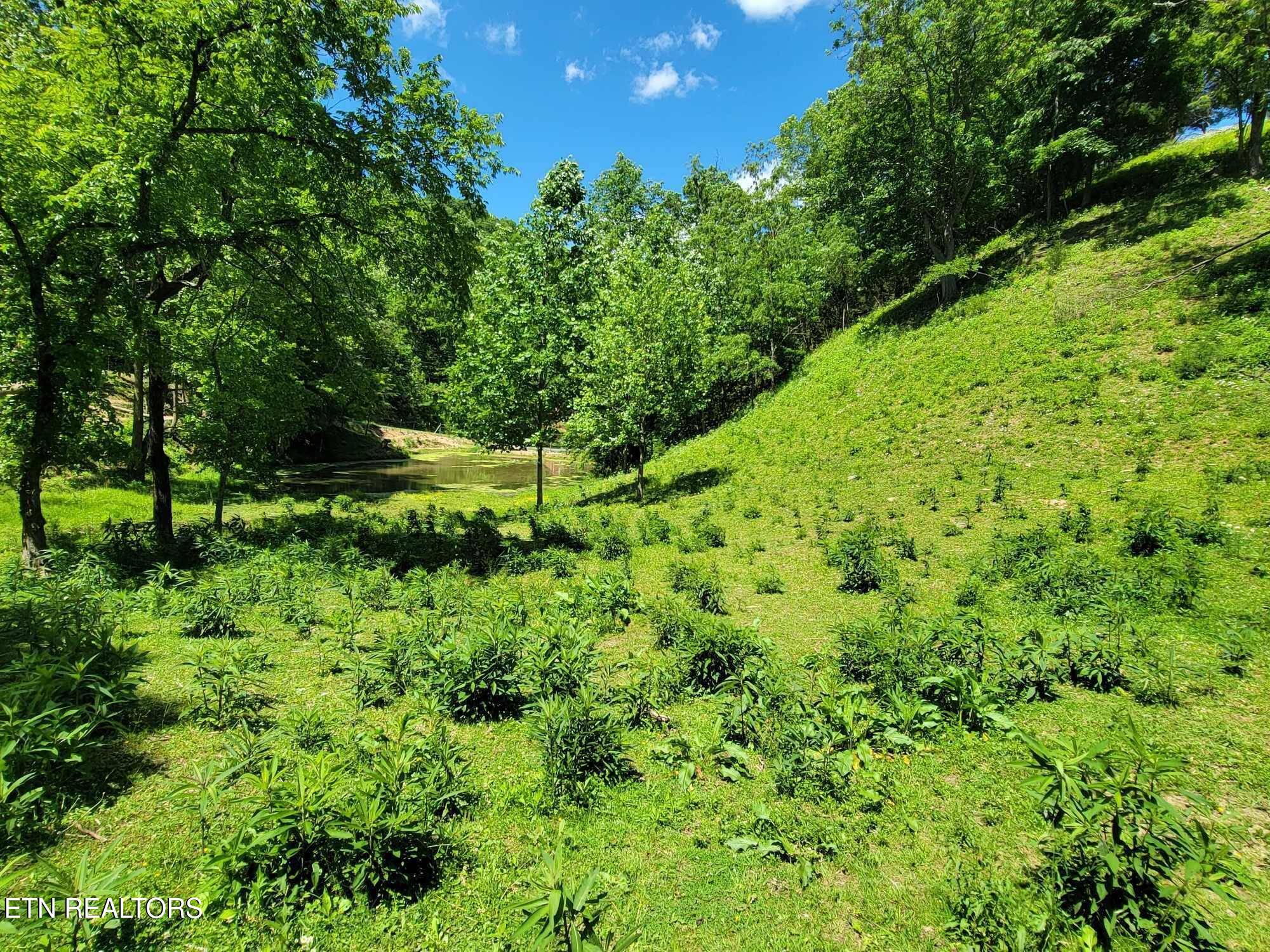 Rogersville, TN 37857,Tract 7 Sandy Valley Rd