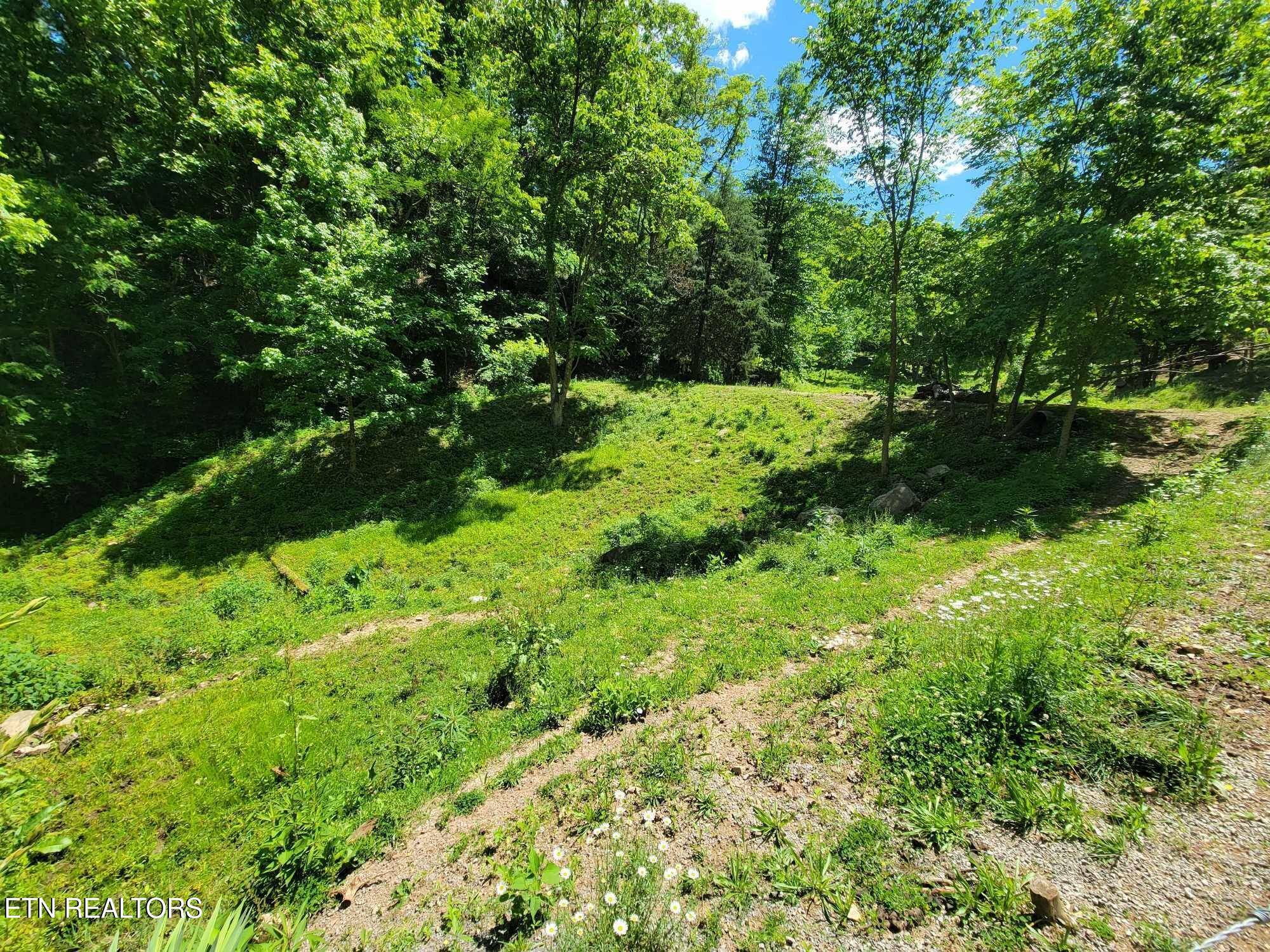 Rogersville, TN 37857,Tract 7 Sandy Valley Rd