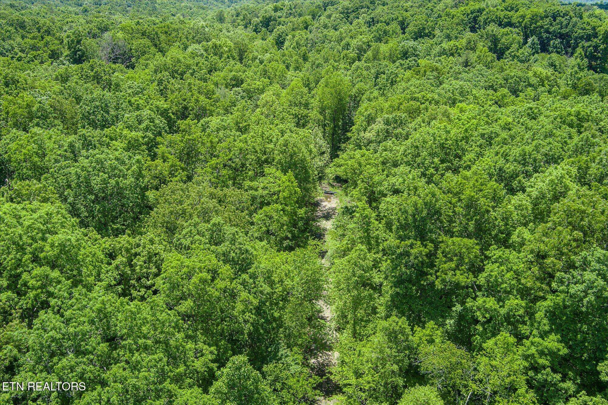 Crossville, TN 38571,169 Woods Hollow LN