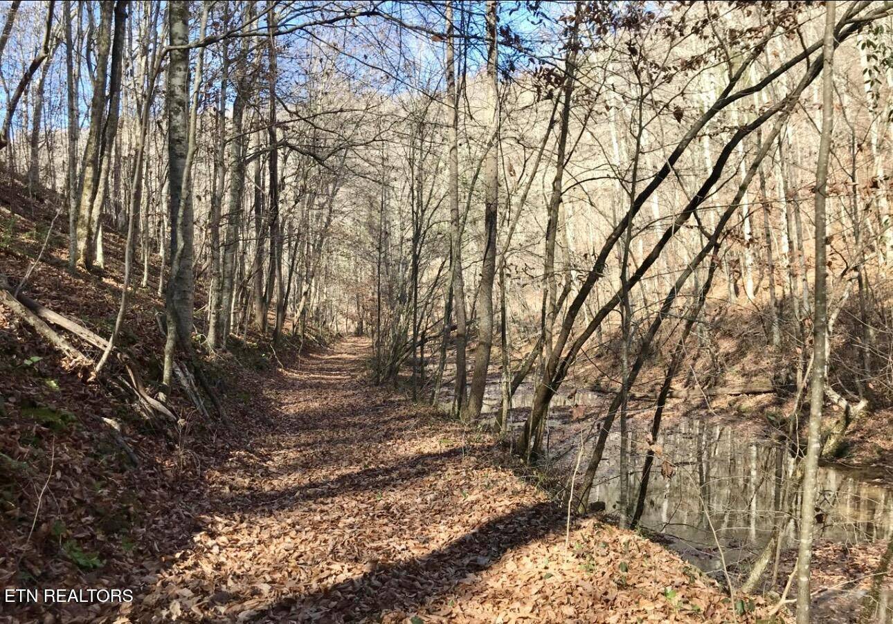 Maynardville, TN 37807,0 Emerald Cove Way