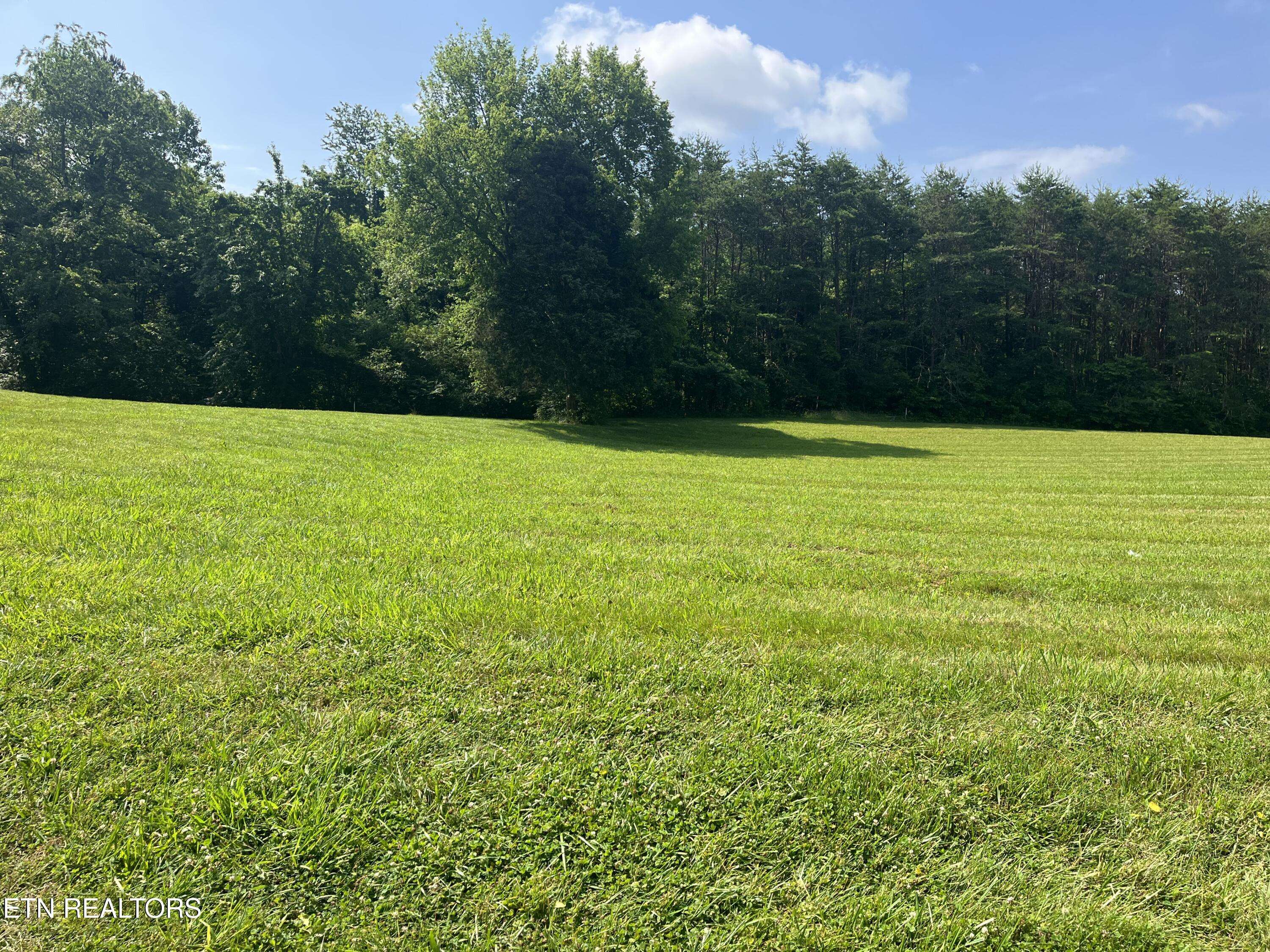 Kodak, TN 37764,Thorngrove PIKE