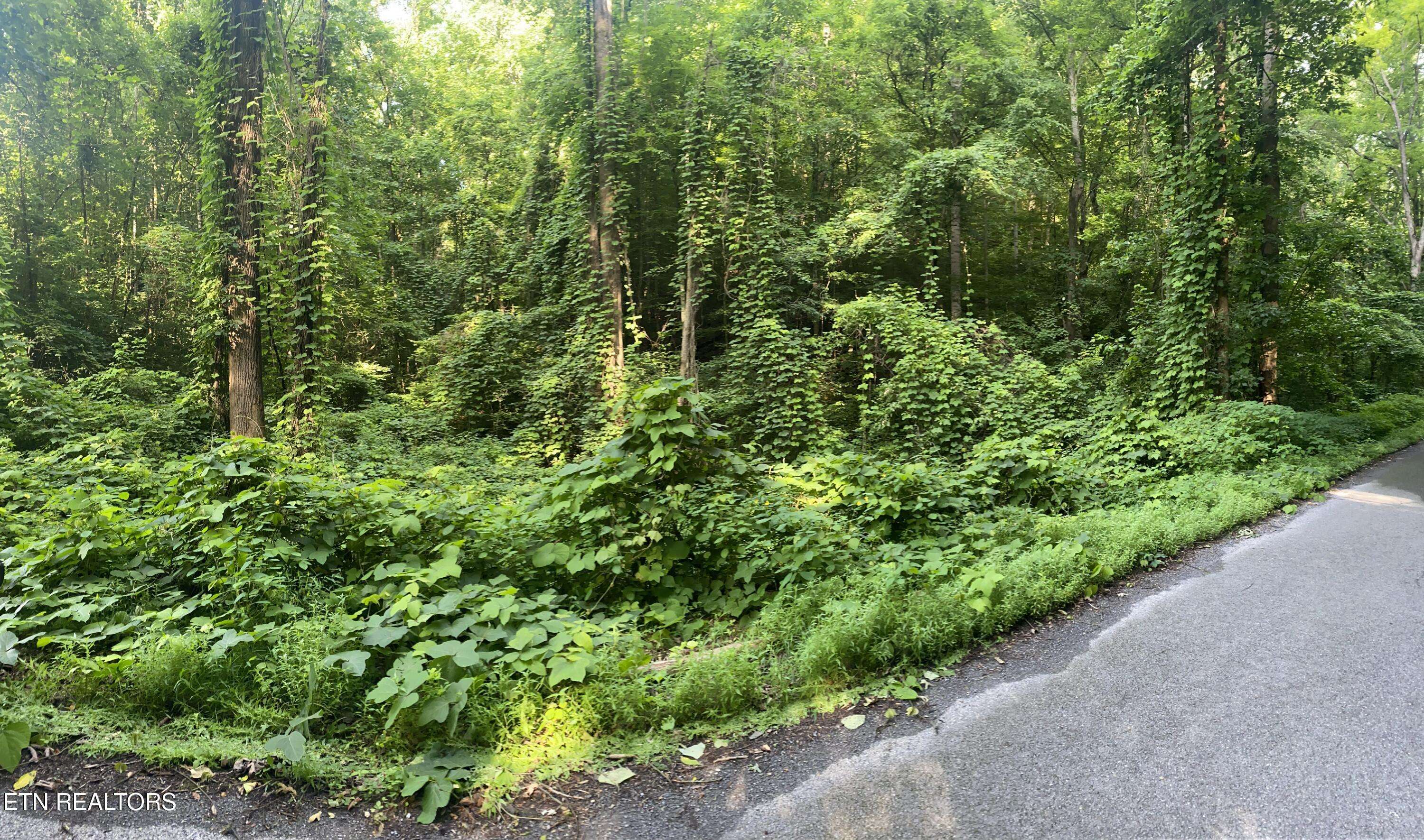 Dandridge, TN 37725,Lower Reinhart Rd