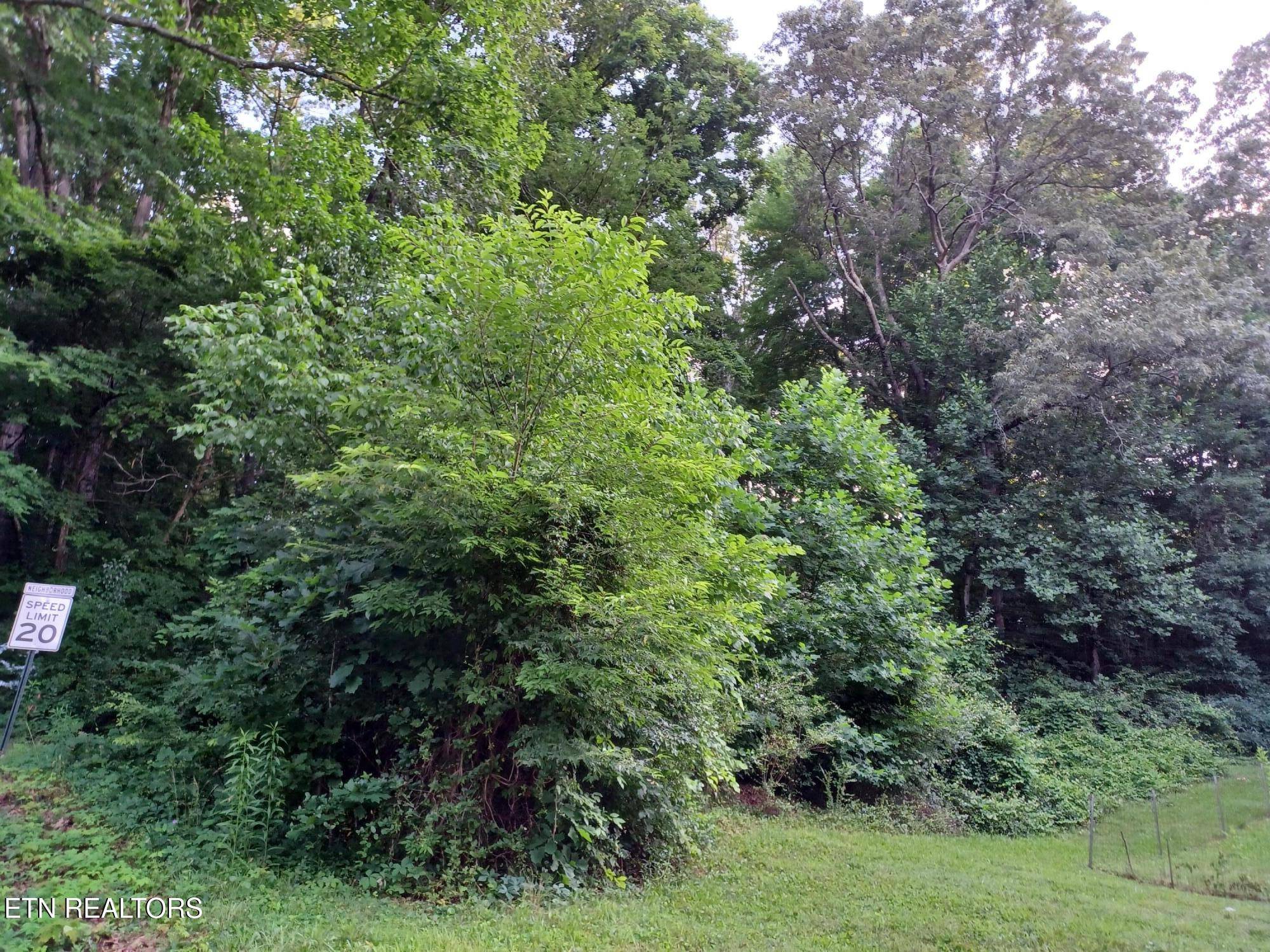 Maryville, TN 37804,2732 Willocks Ave