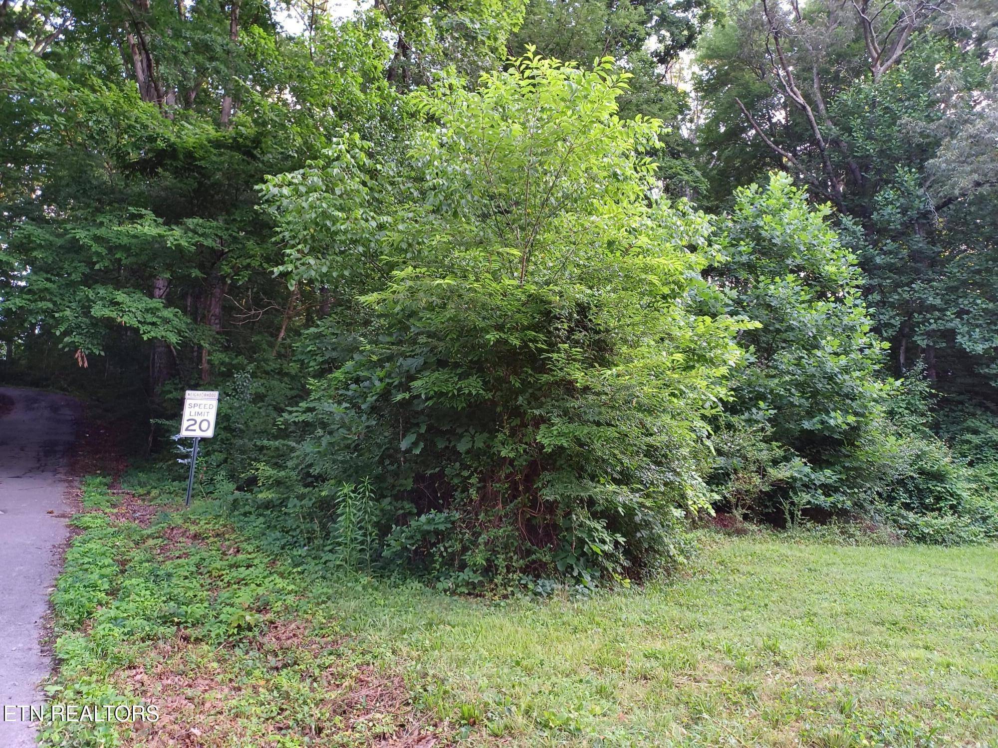 Maryville, TN 37804,2732 Willocks Ave