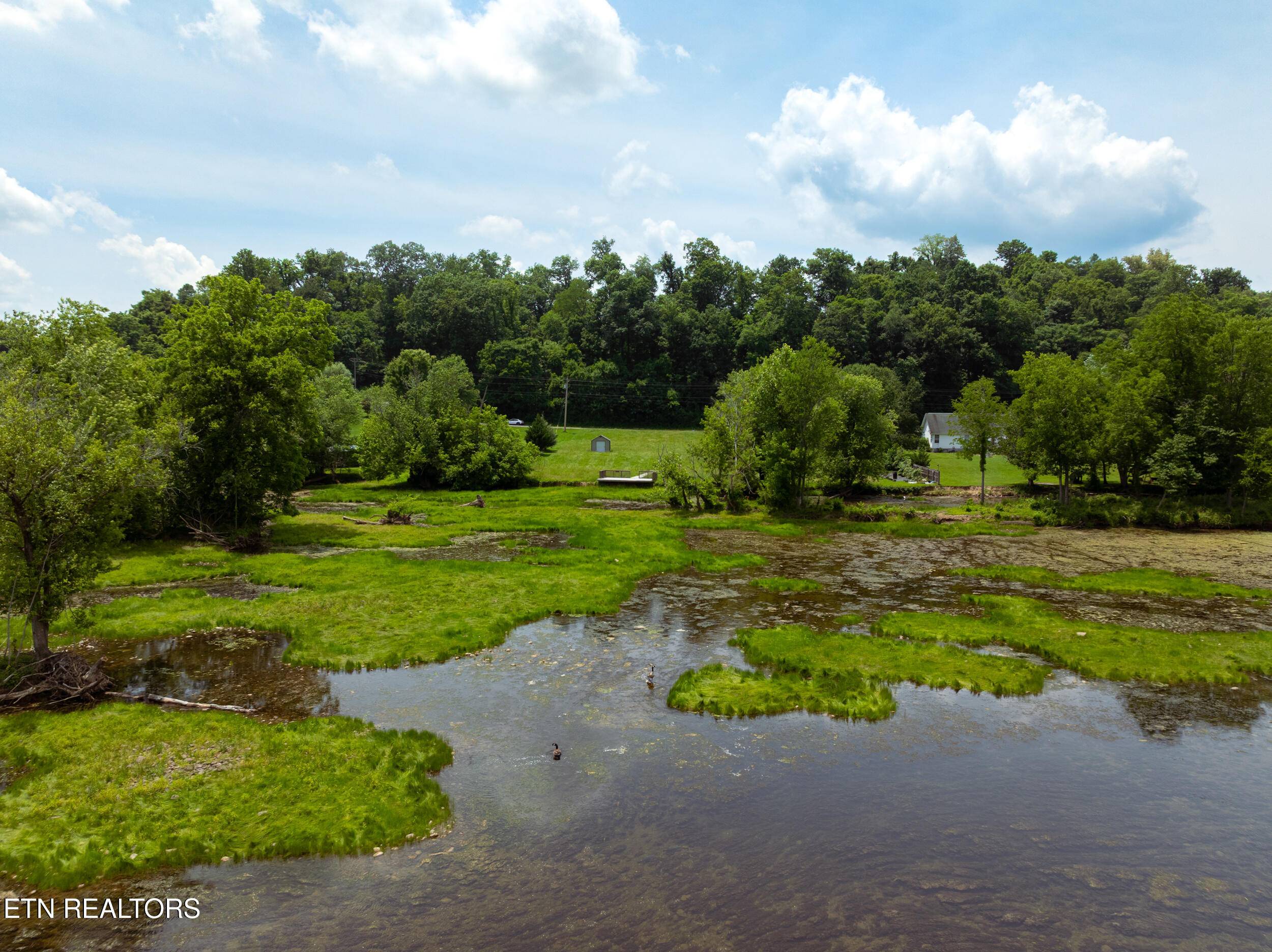 Rutledge, TN 37861,Lot 12 Holston Shores DR