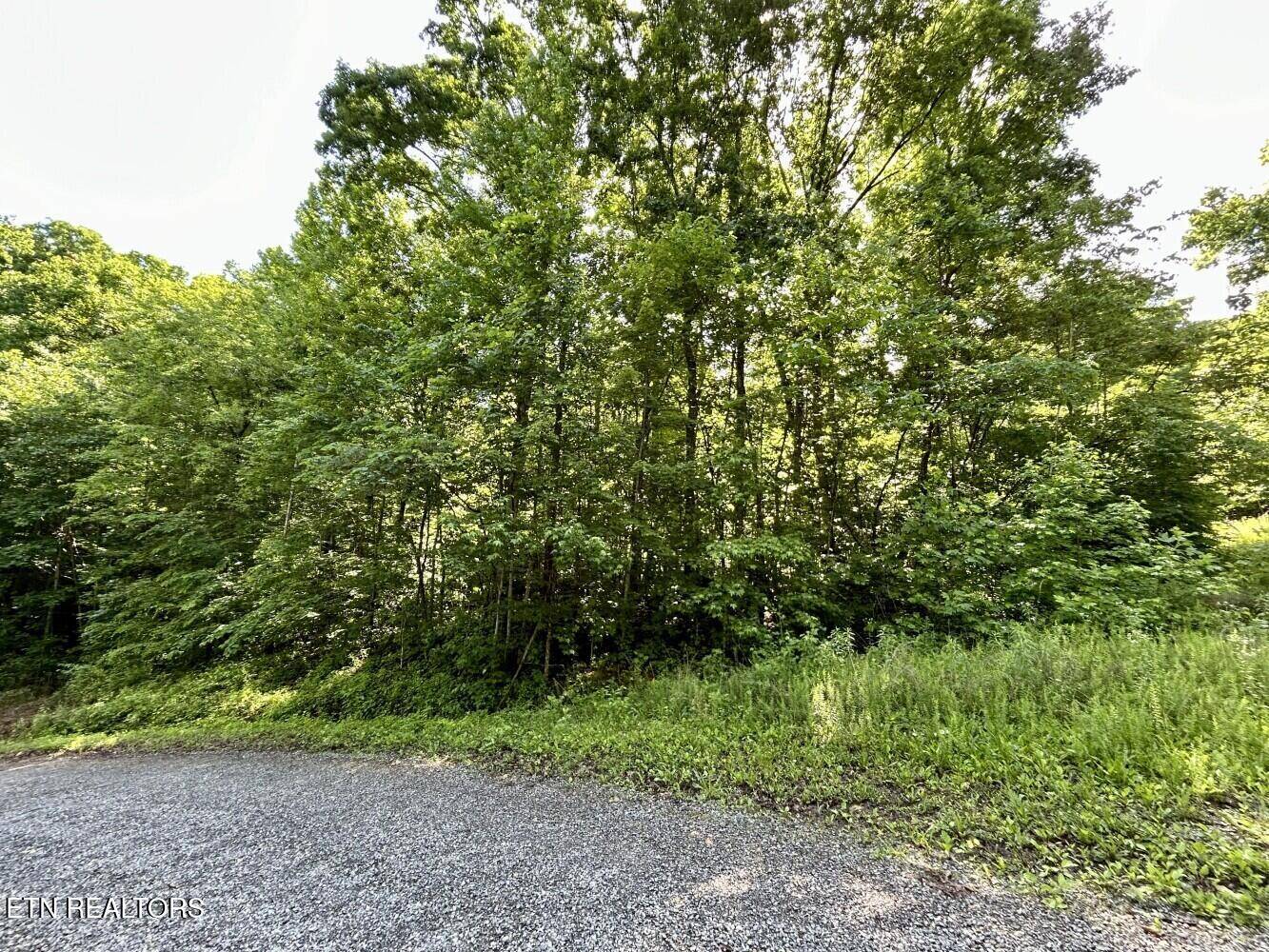 Cosby, TN 37722,TBD Grand Country DR