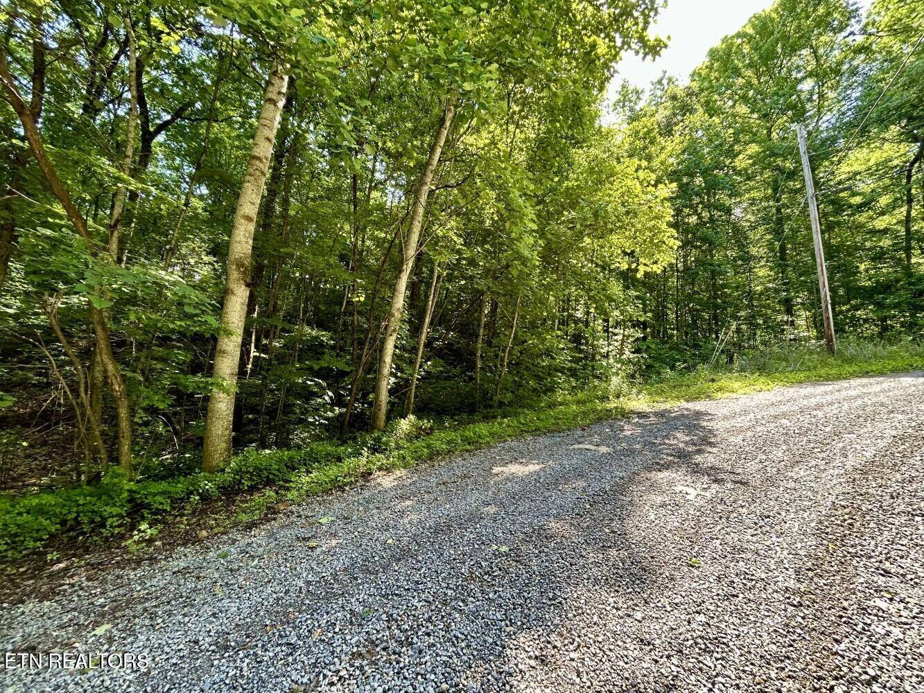 Cosby, TN 37722,TBD Grand Country DR