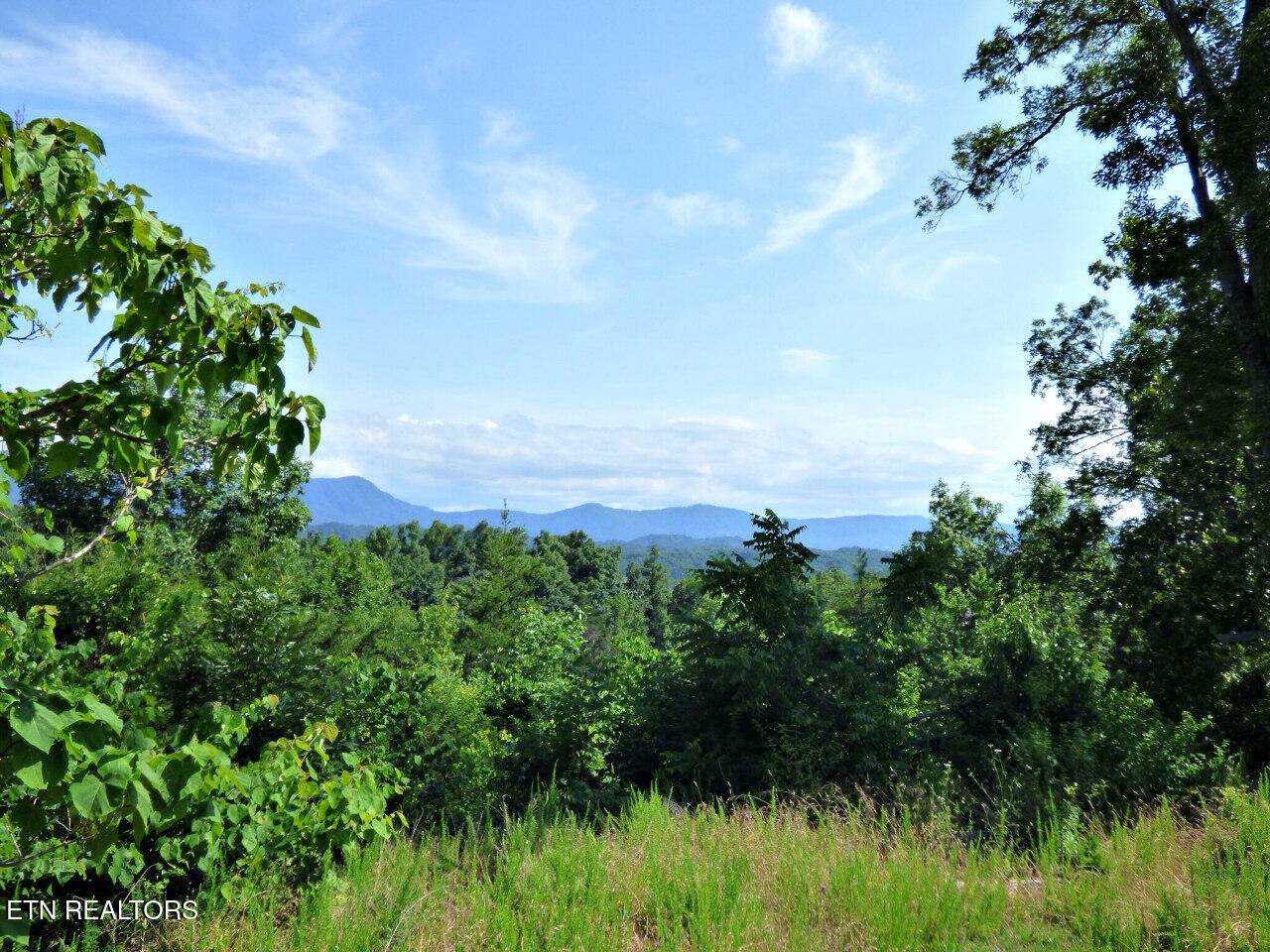 Dandridge, TN 37725,Lot 32 Tranquility Tr