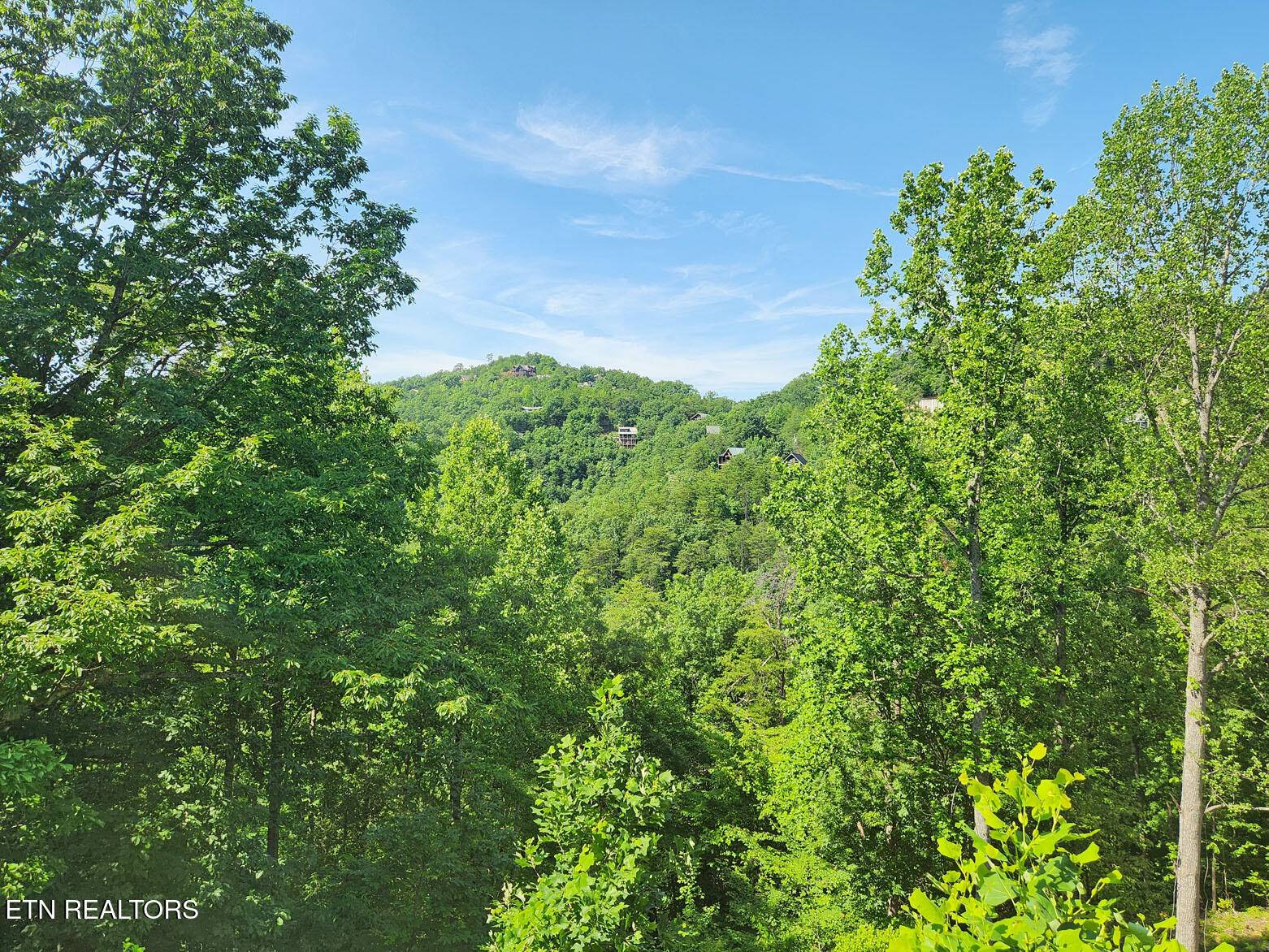 Sevierville, TN 37862,3059 Engle Town Rd