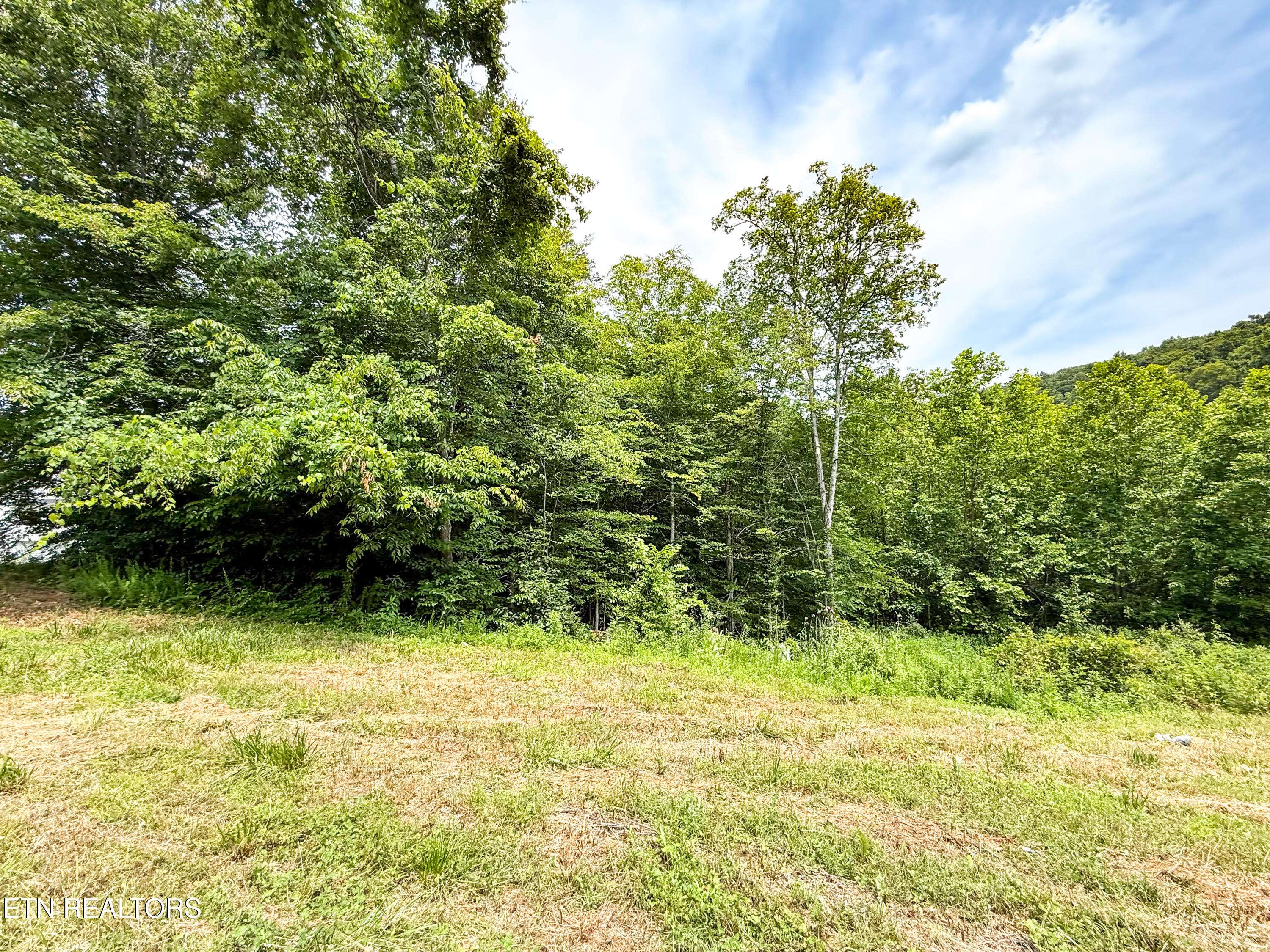 Oak Ridge, TN 37830,117 Cherry Oak DR
