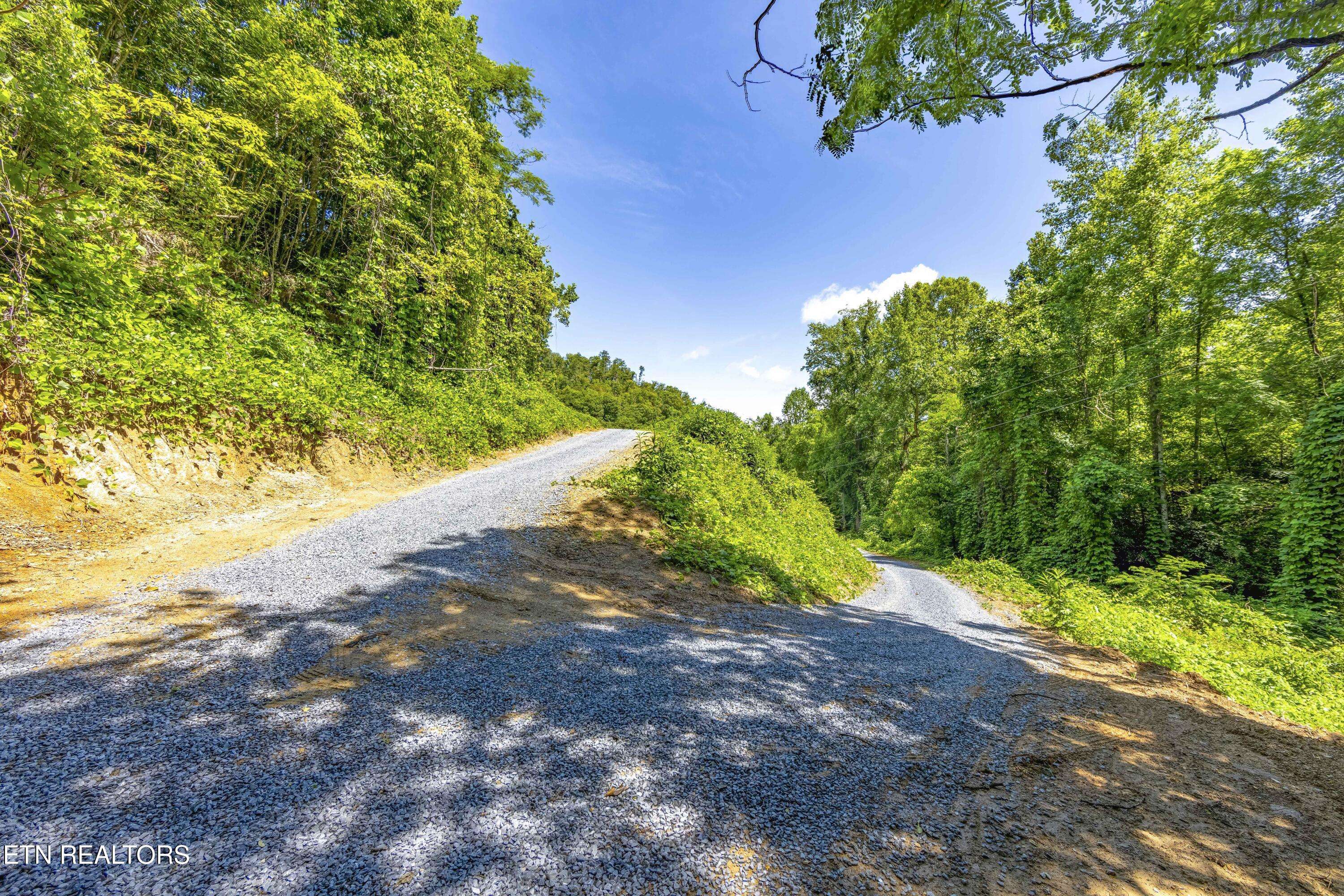 Del Rio, TN 37727,TBD Blue Mill Rd